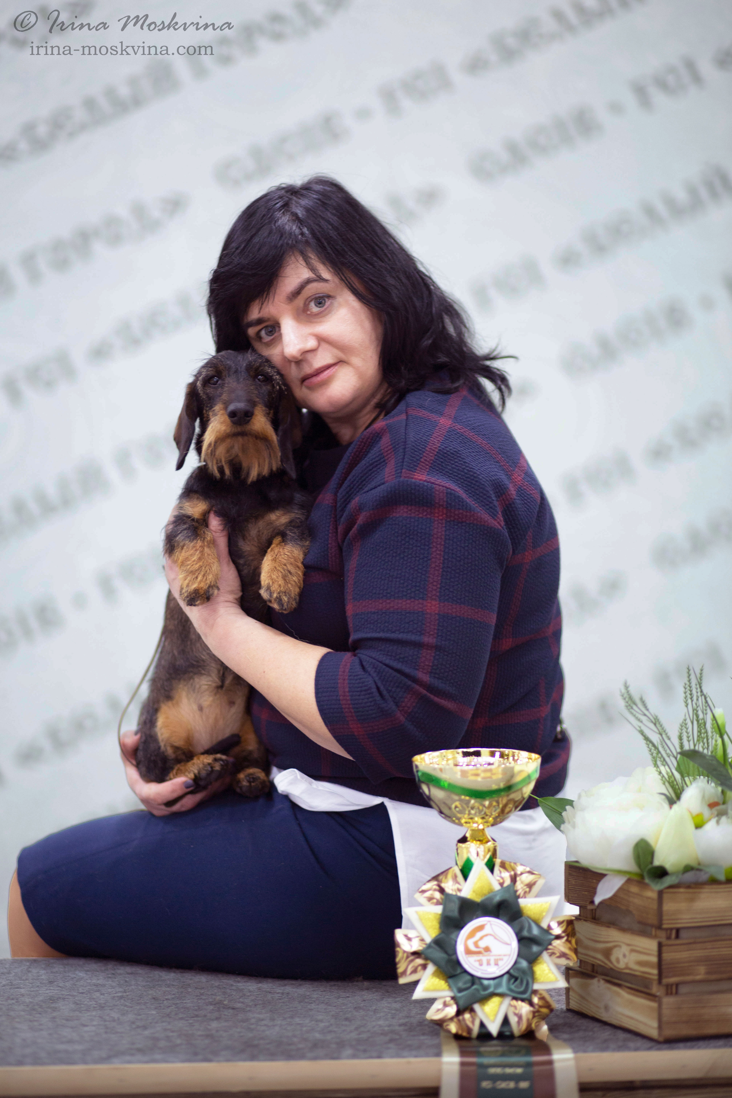 Жесткошерстная такса Малифисента