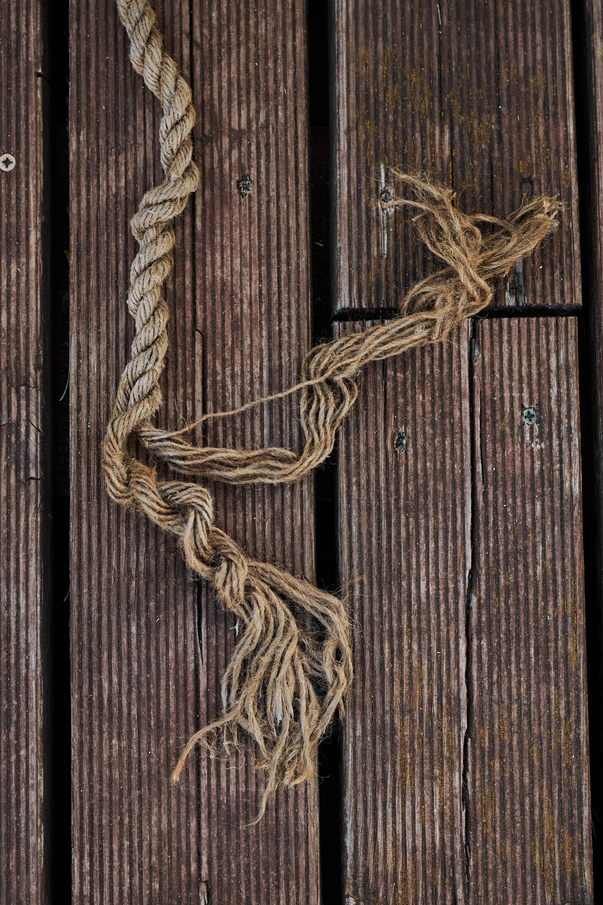 ЯХТ-КЛУБ. Cheta Kovalevsky фотографы