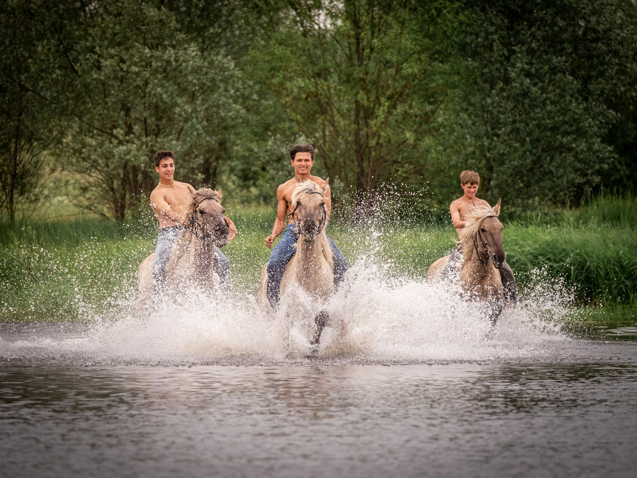 Люди и лошади!. Зоофотограф, фотограф животных в Москве и области Дина Дамоцева