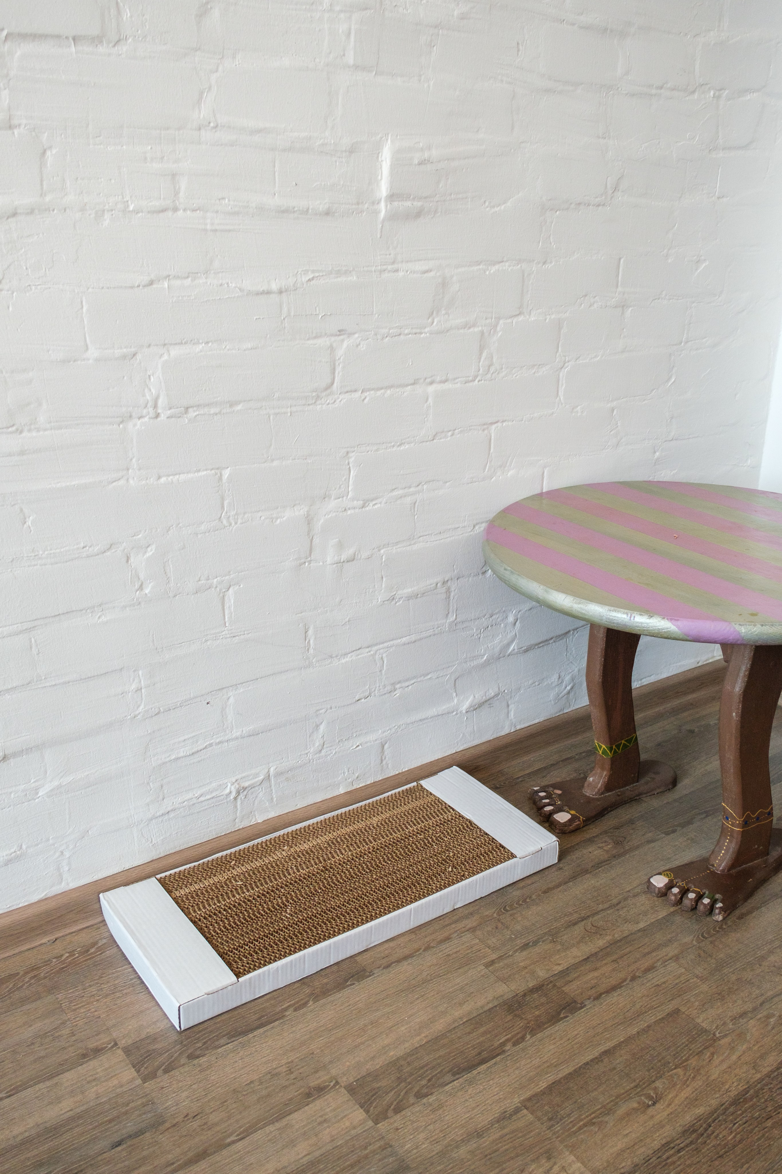 Когтеточки из картона. Зоофотограф, фотограф животных в Москве и области Дина Дамоцева