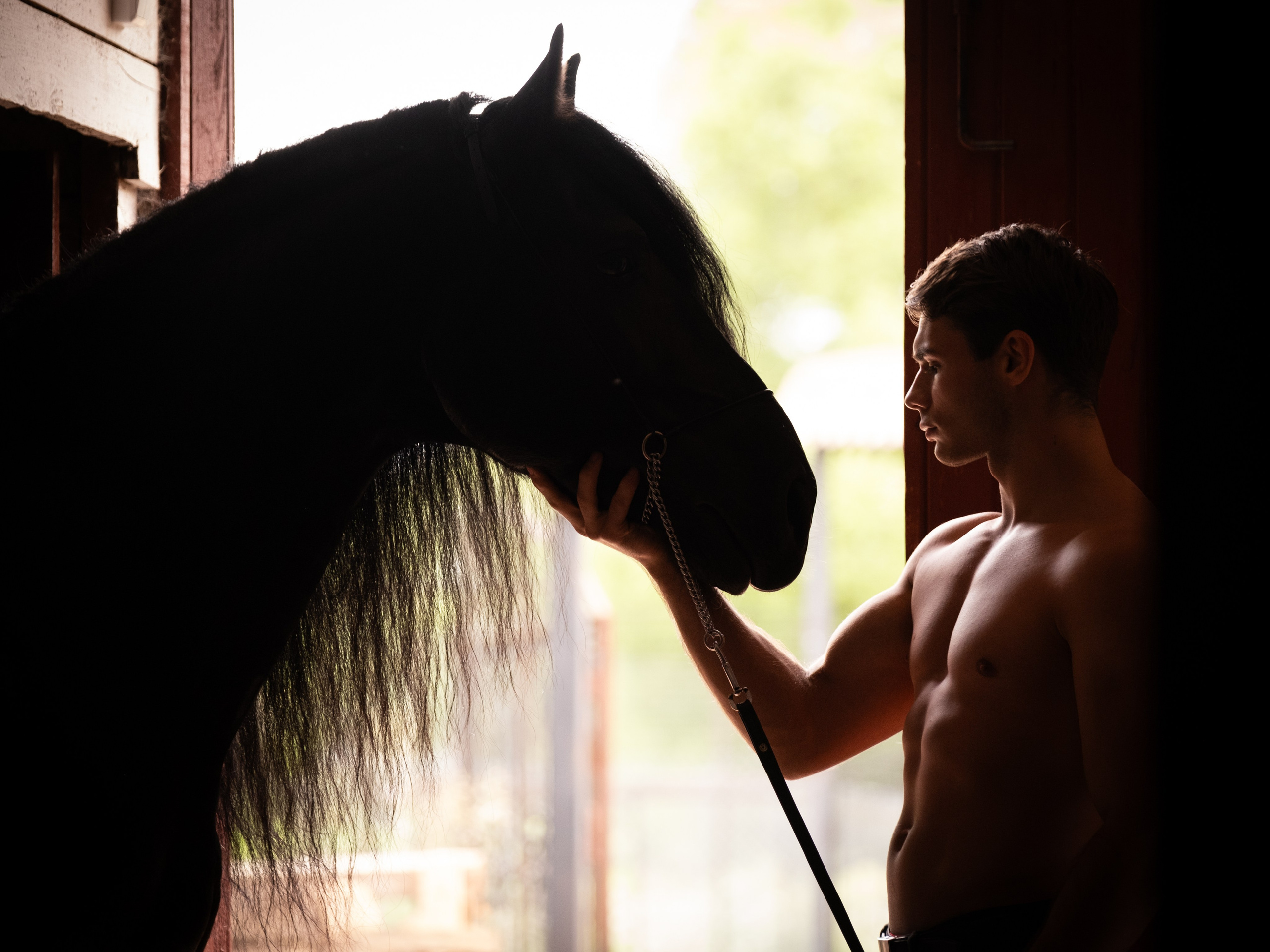 Аванпост, конное ранчо. Зоофотограф, фотограф животных в Москве и области Дина Дамоцева