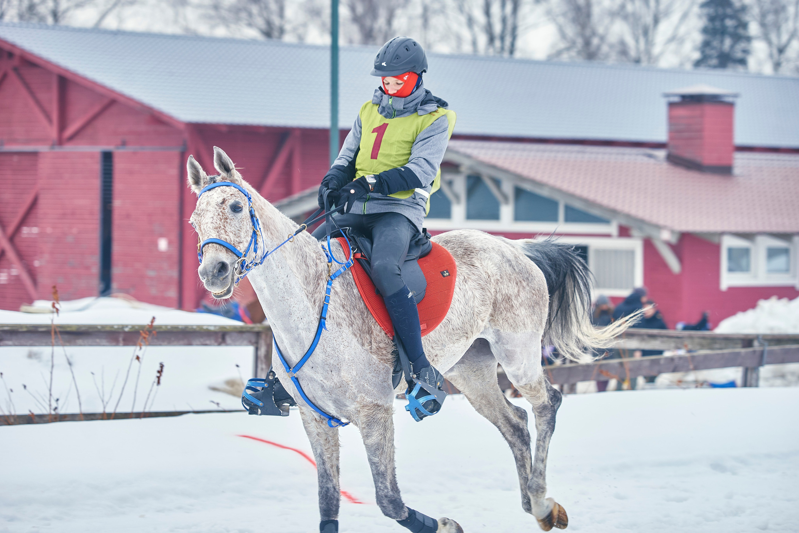 HORSE RACING. Фотограф Наталья Леонова