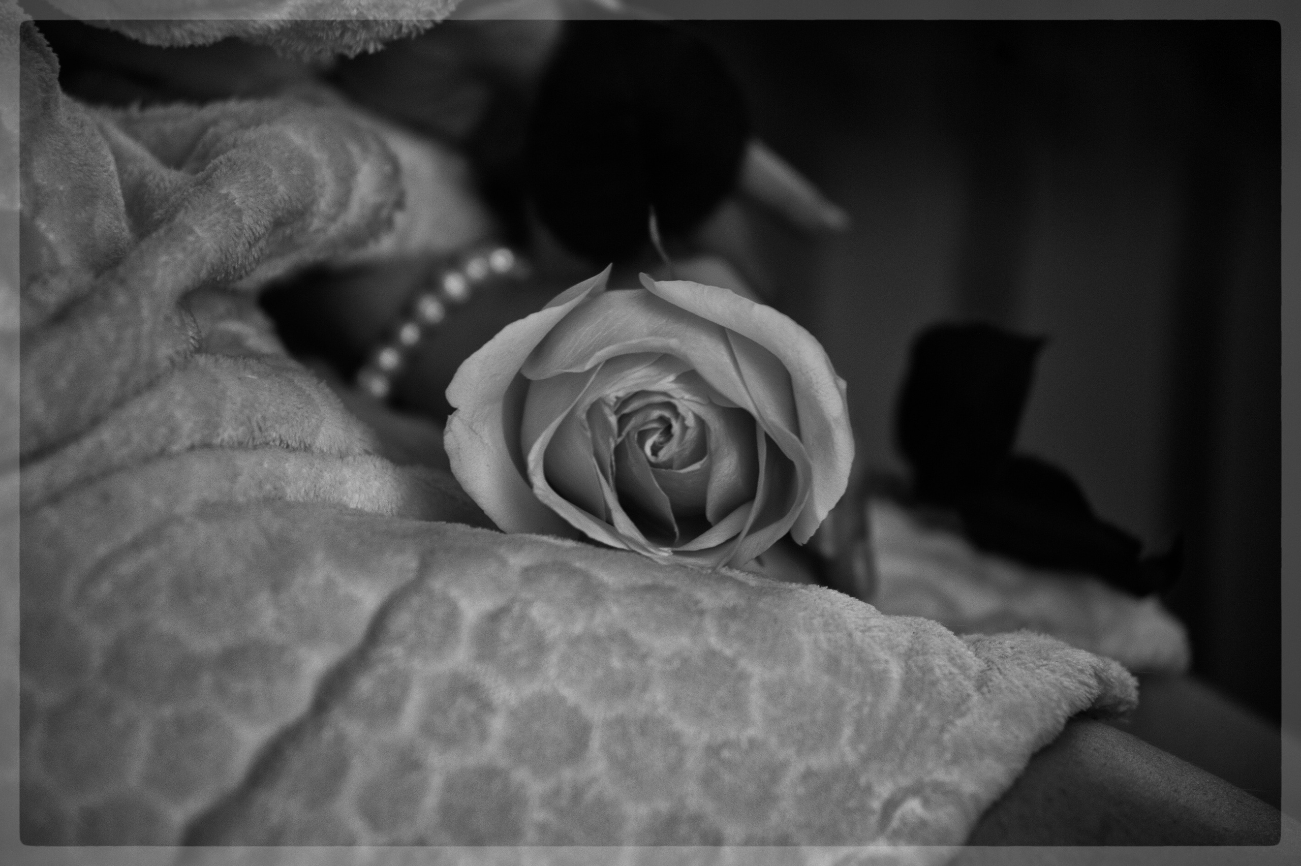 Wedding. Фотограф Милена Яновска