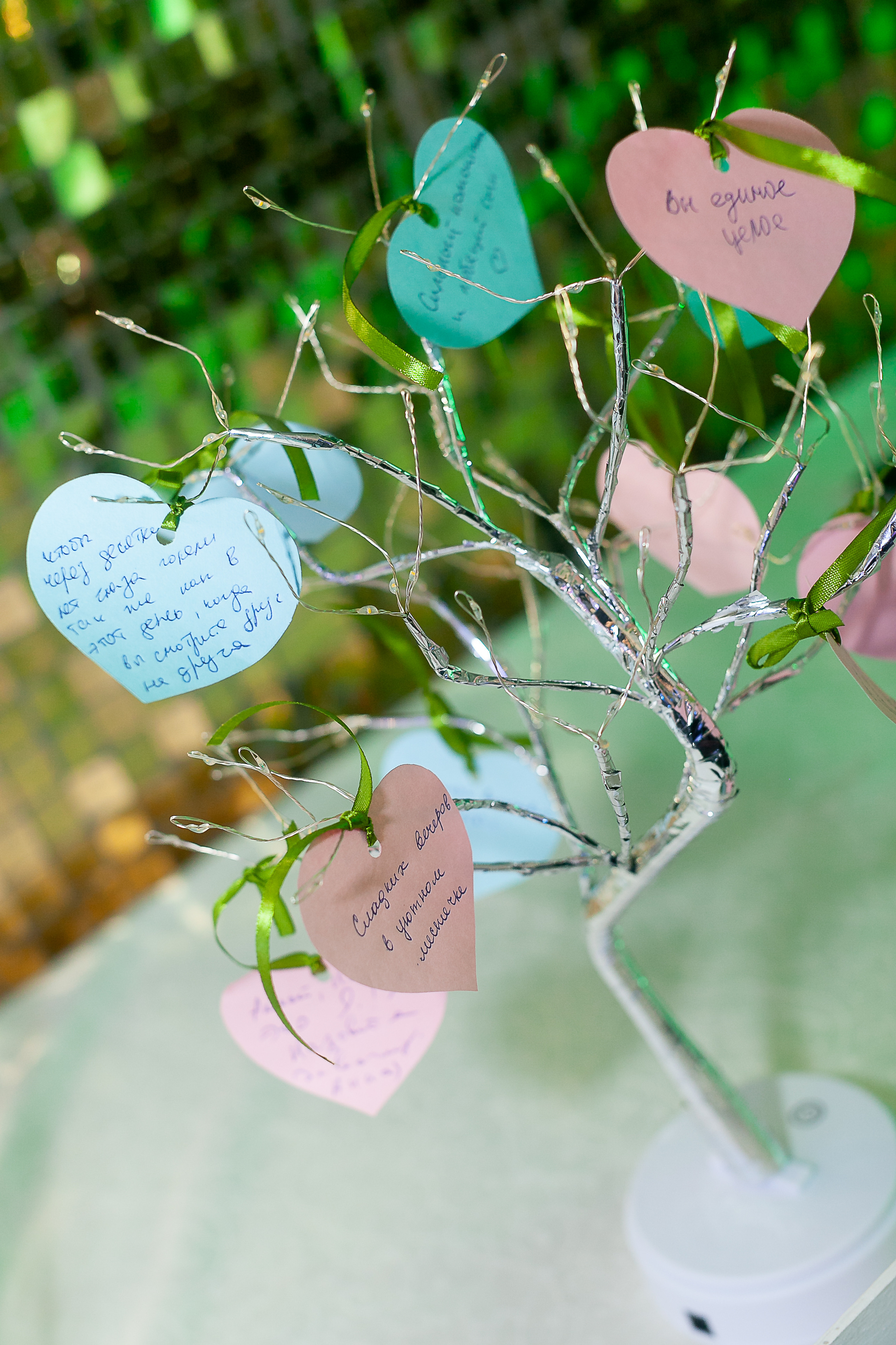 Свадьба/анонс