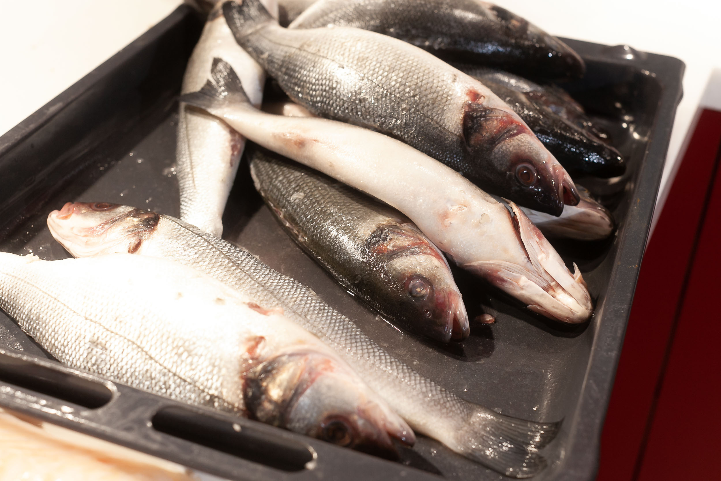 Кулинарный МК в «Вилке»