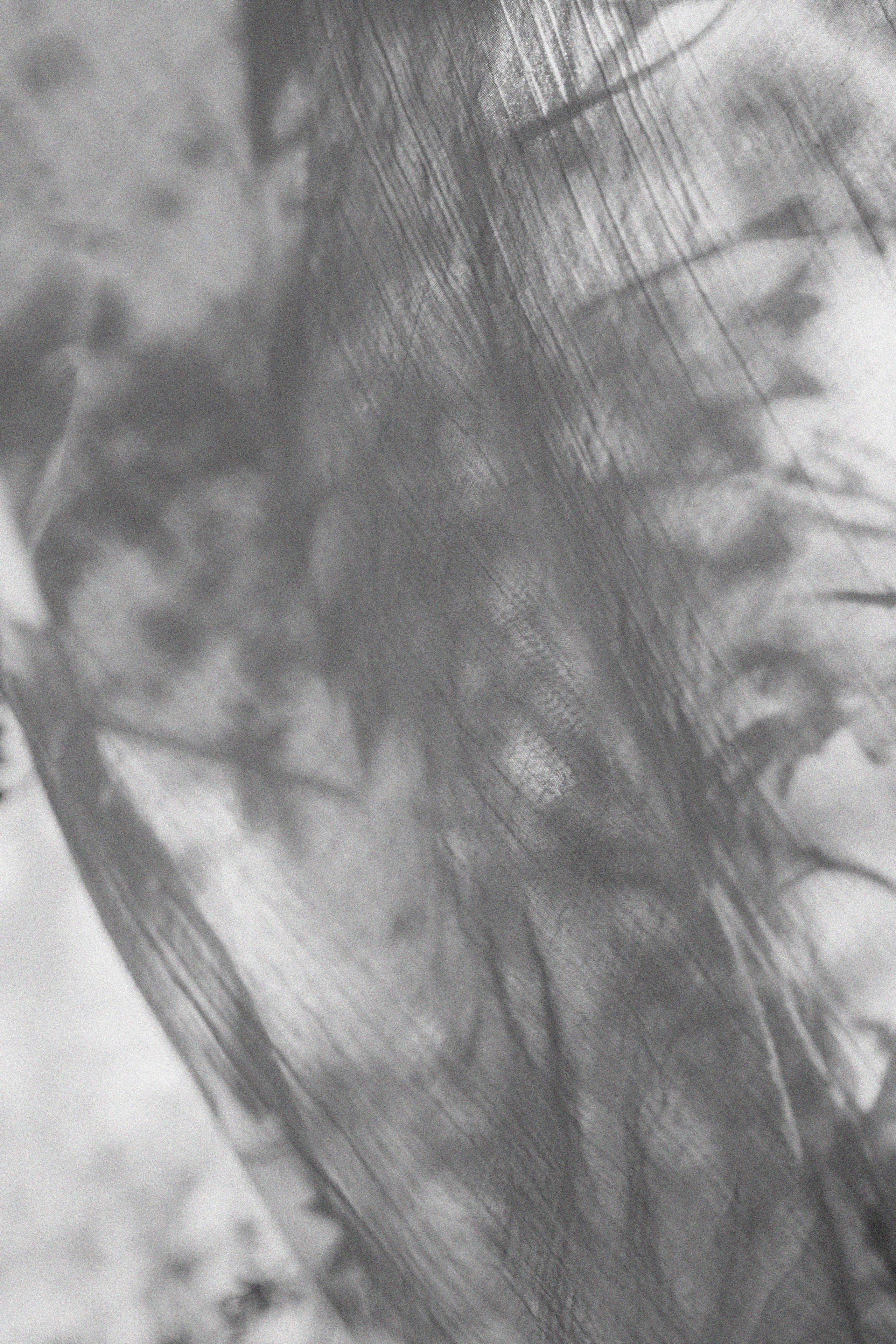 Эстетика П р о Я в л е н и я. Виноградова Маргарита. Фотограф P r o Явления