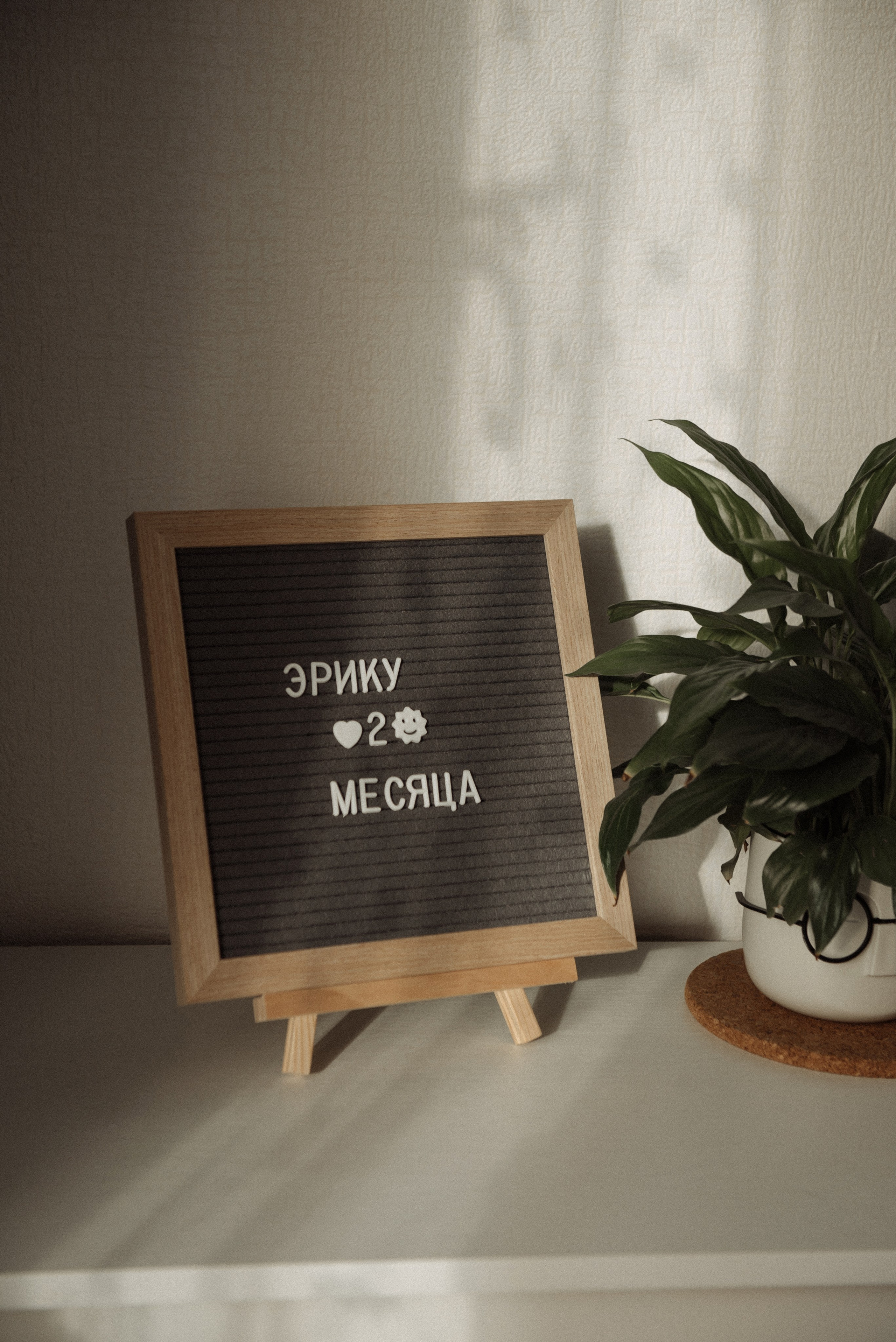 Юля, Рома, и Эрик. Свадебный, портретный, фотограф беременности в Нижнем Новгороде Алина Зиновьева