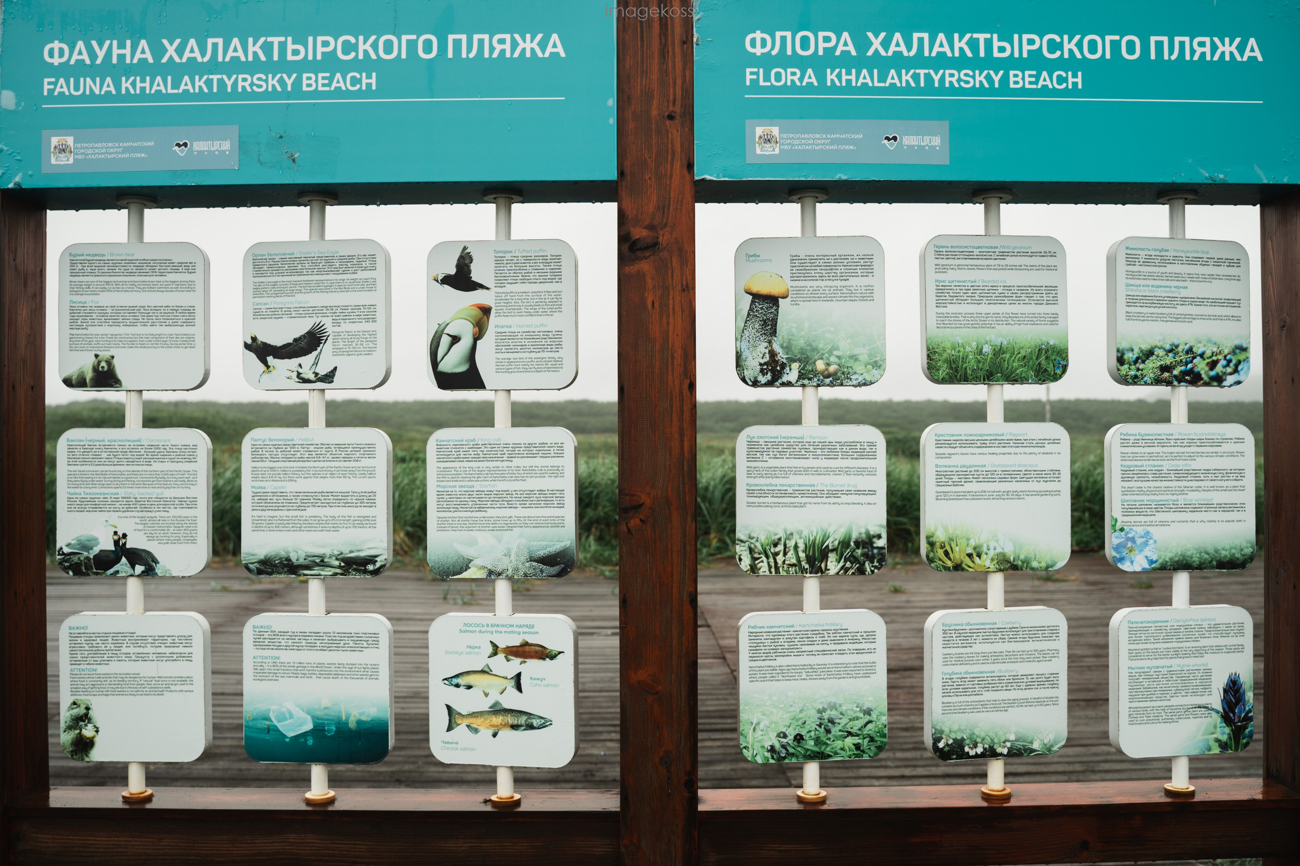 Камчатка. Фотограф в поход и восхождение на Эльбрус Игорь Косарев