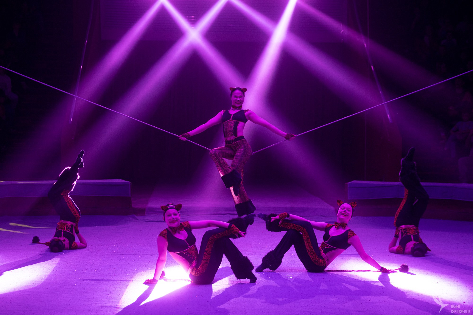 Гала-представление ЭВОЛЮЦИОНЕРЫ. Репортажный фотограф в Казани Павел Серпокрылов