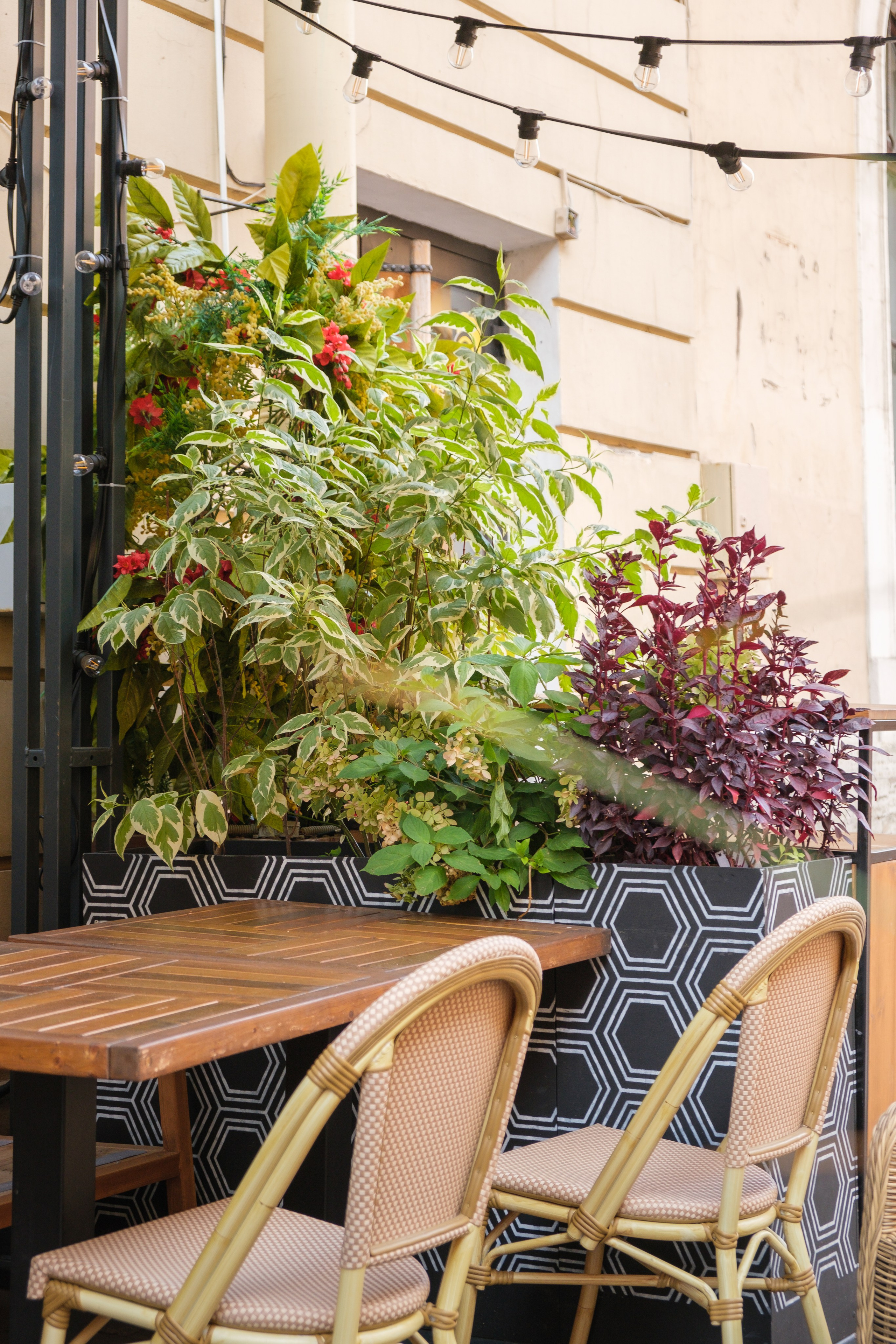 Озеленение