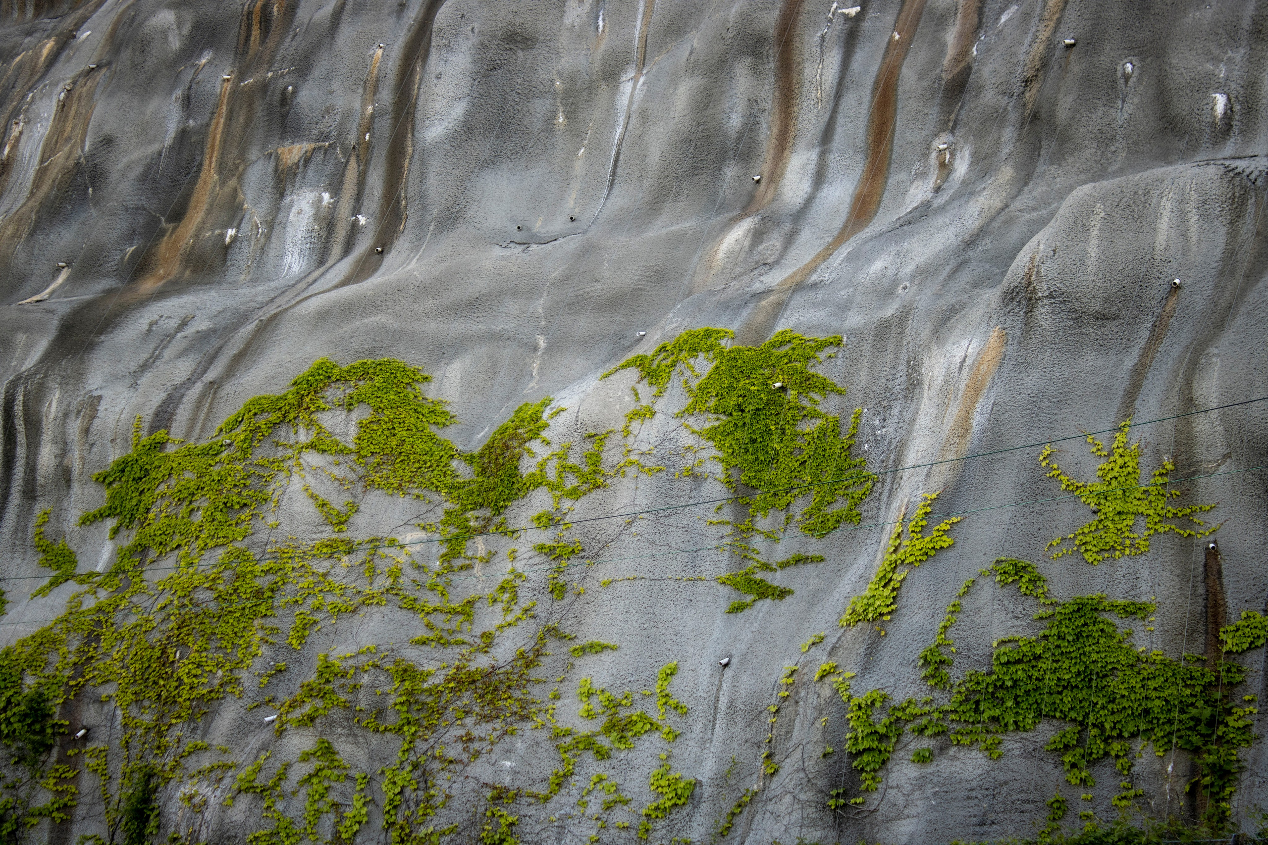 Однажды в Корее. Часть 1. Фотограф г. Владивосток