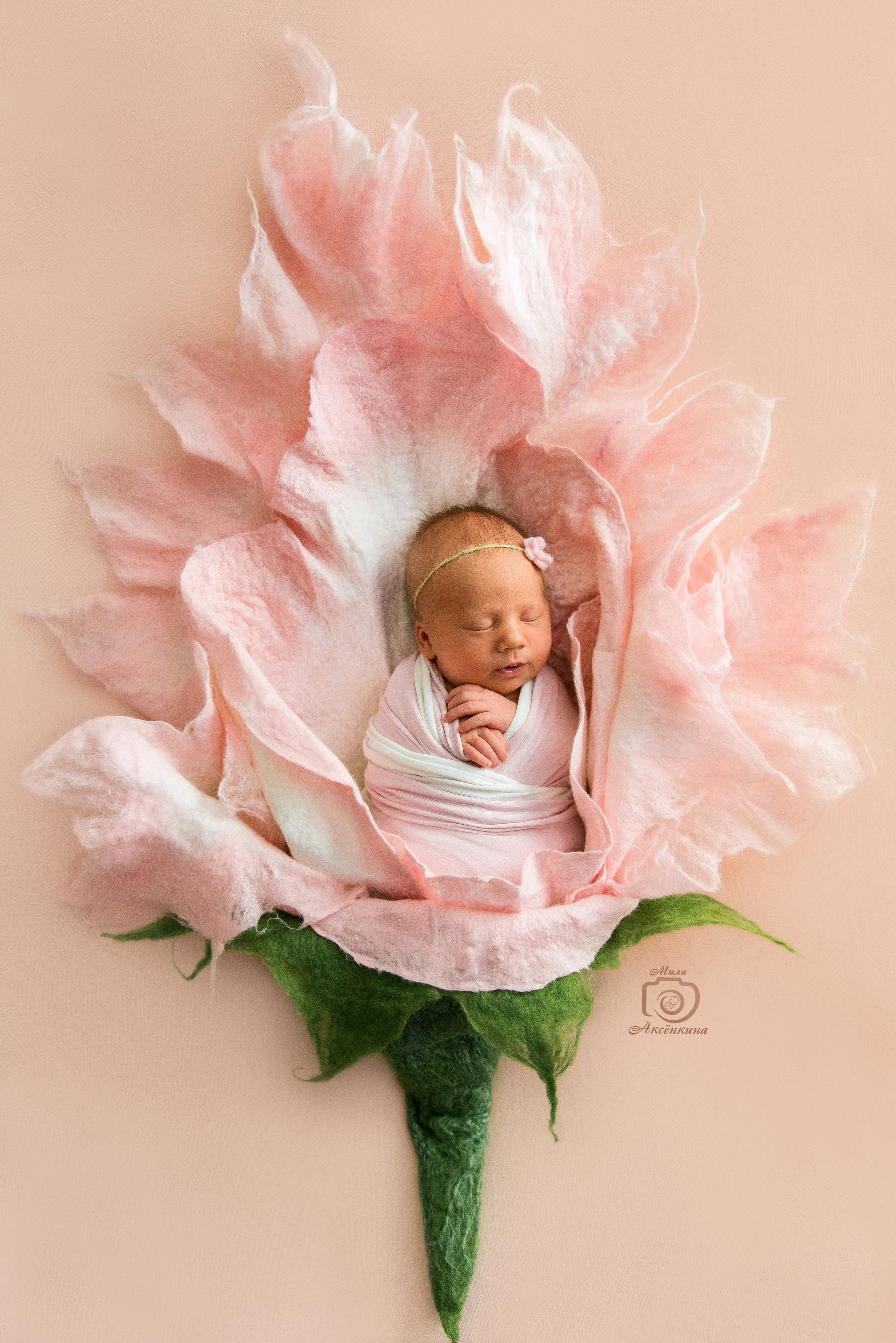 Портфолио новорожденных. Фотограф в Нефтеюганске Мила Аксёнкина