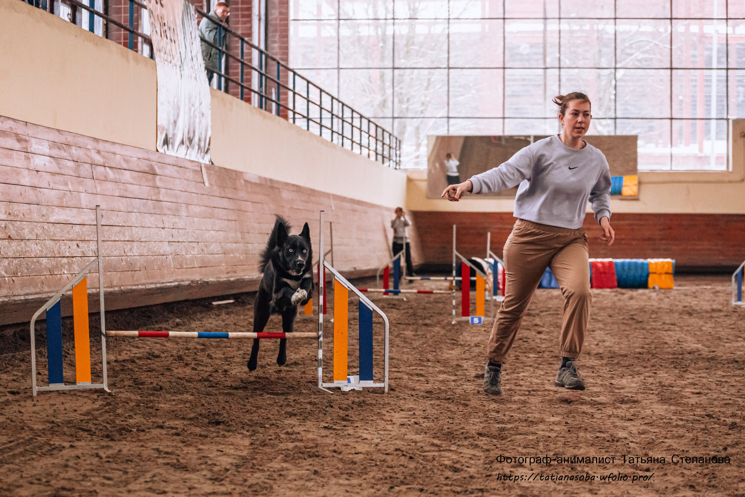 Соревнования по Аджилити 25.02.2024. Фотограф-анималист Татьяна Степанова