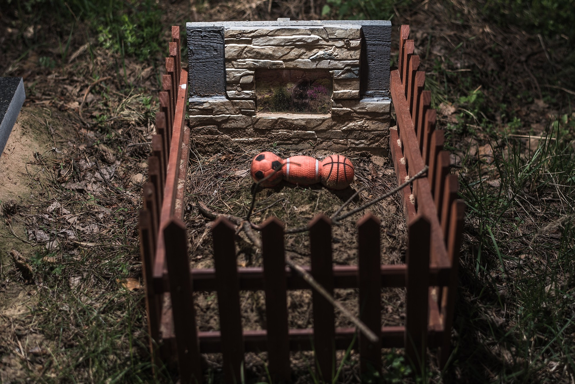 Кладбище домашних животных. Промышленная и репортажная фотография