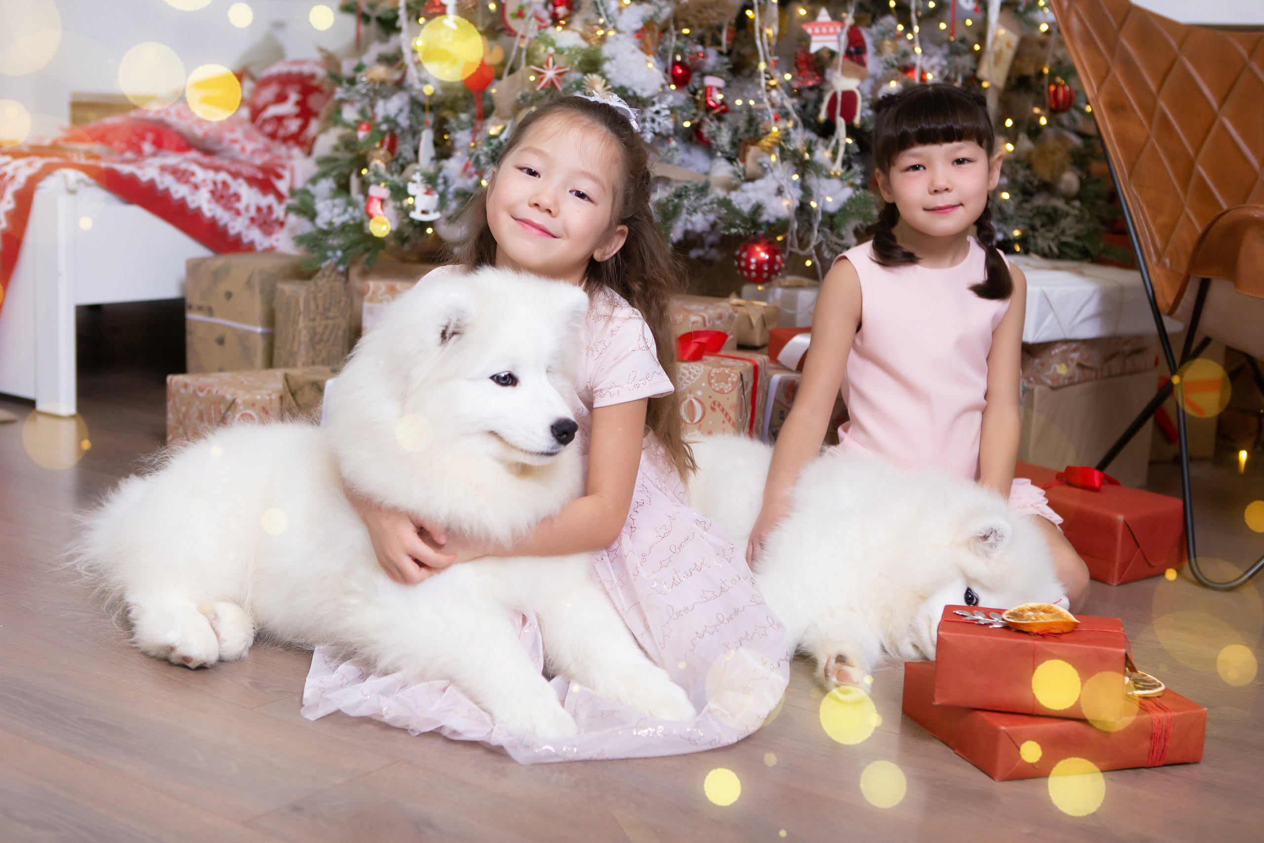 Мимимишки. Бигильдина Роза фотограф в Челябинске. Выпускные альбомы