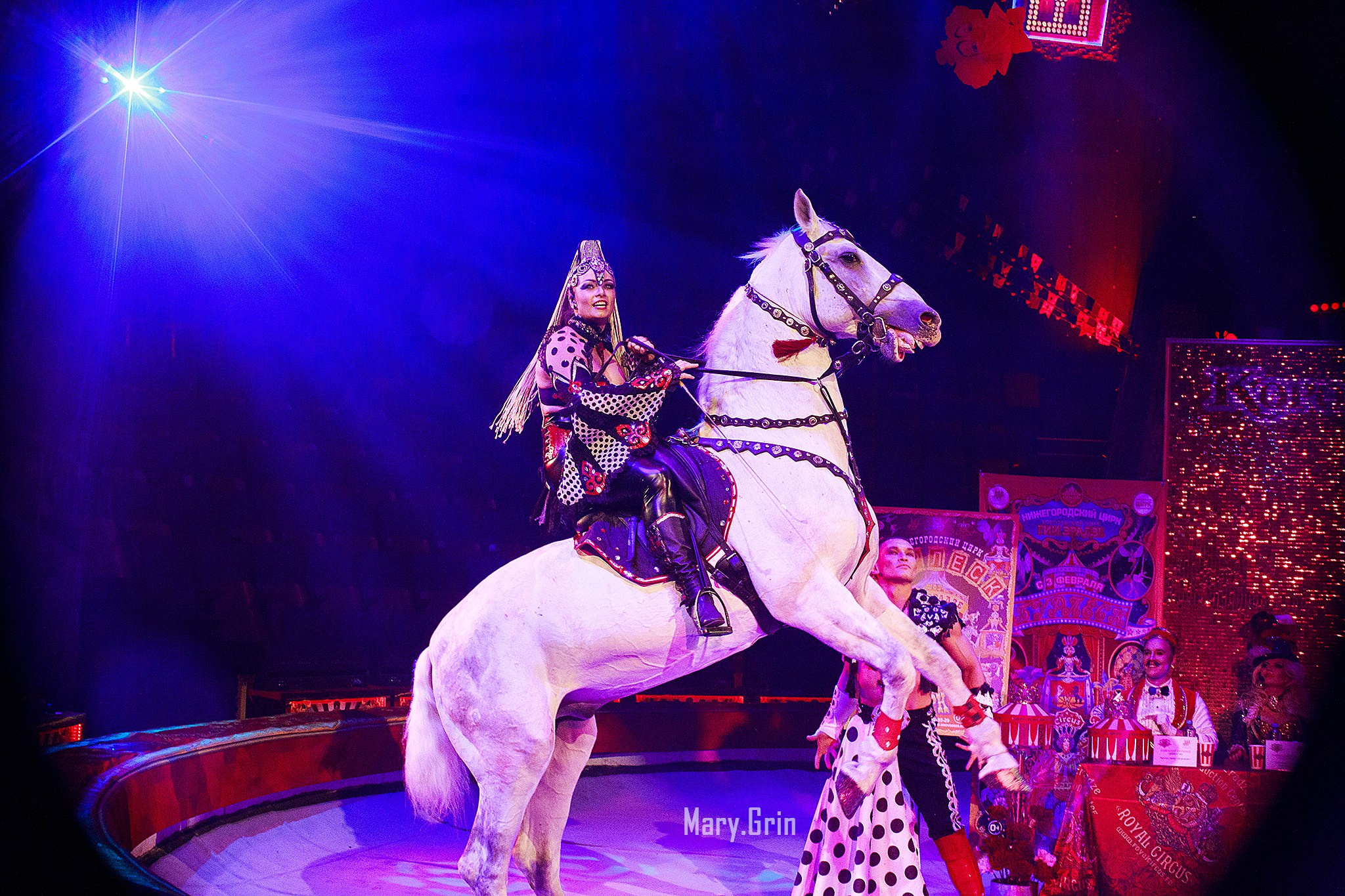Цирк Гии Эрадзе. Детский и семейный фотограф, фотограф мероприятий Нижний Новгород
