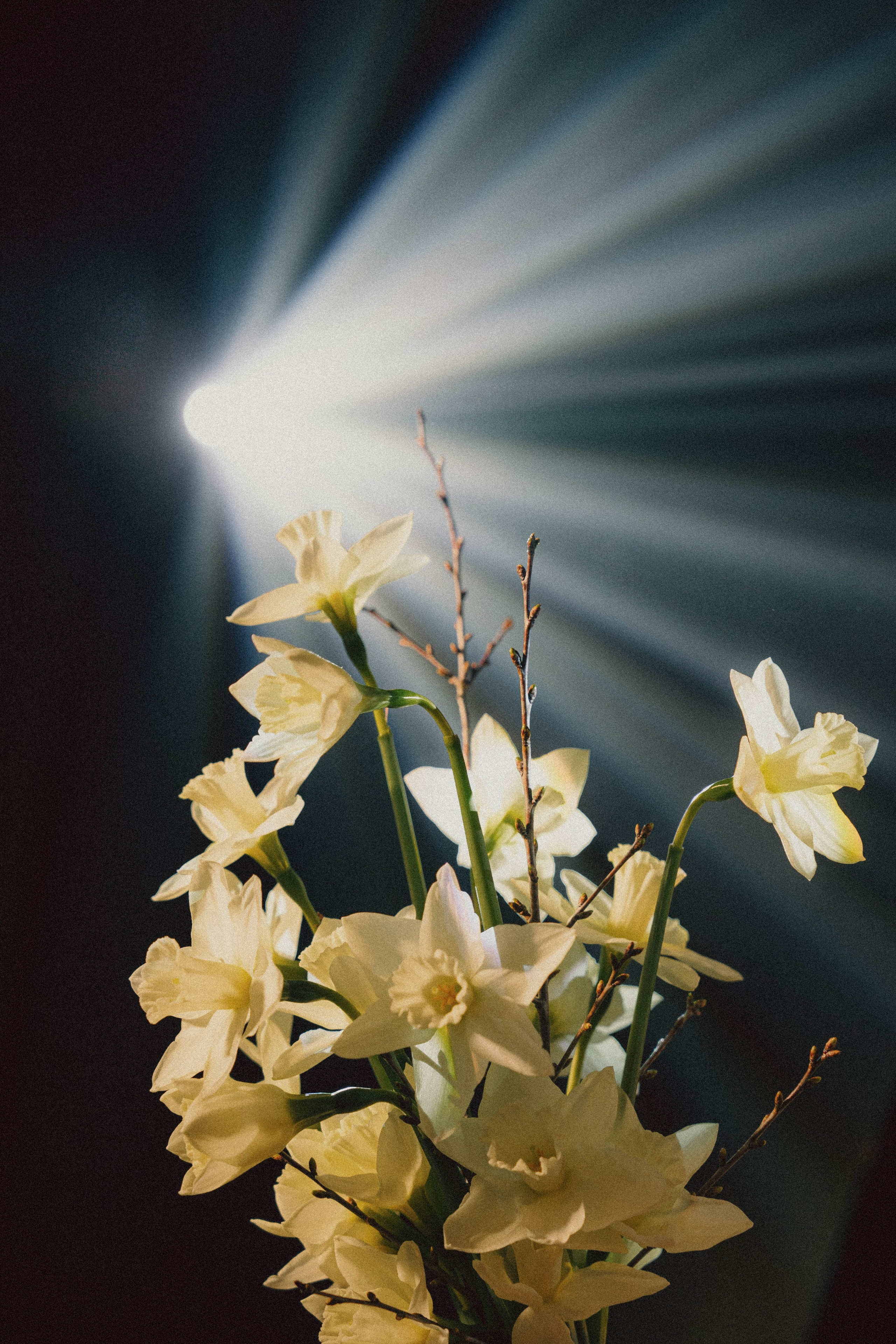 07.04.26 Барнаул. Sofya Sazonova