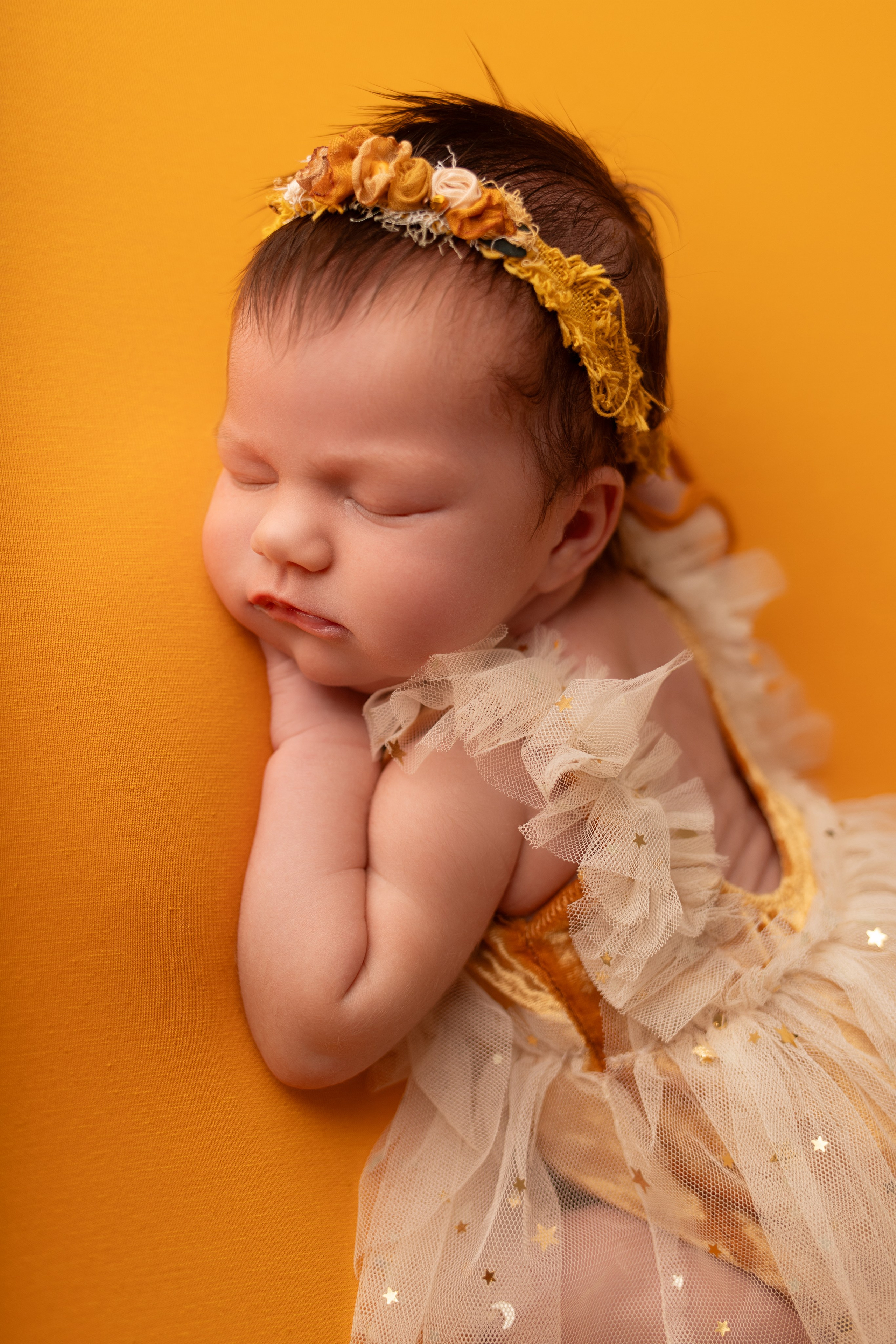 Каталог. Фотограф новорождённых Волгоград Волжский Дарья Рыскаль