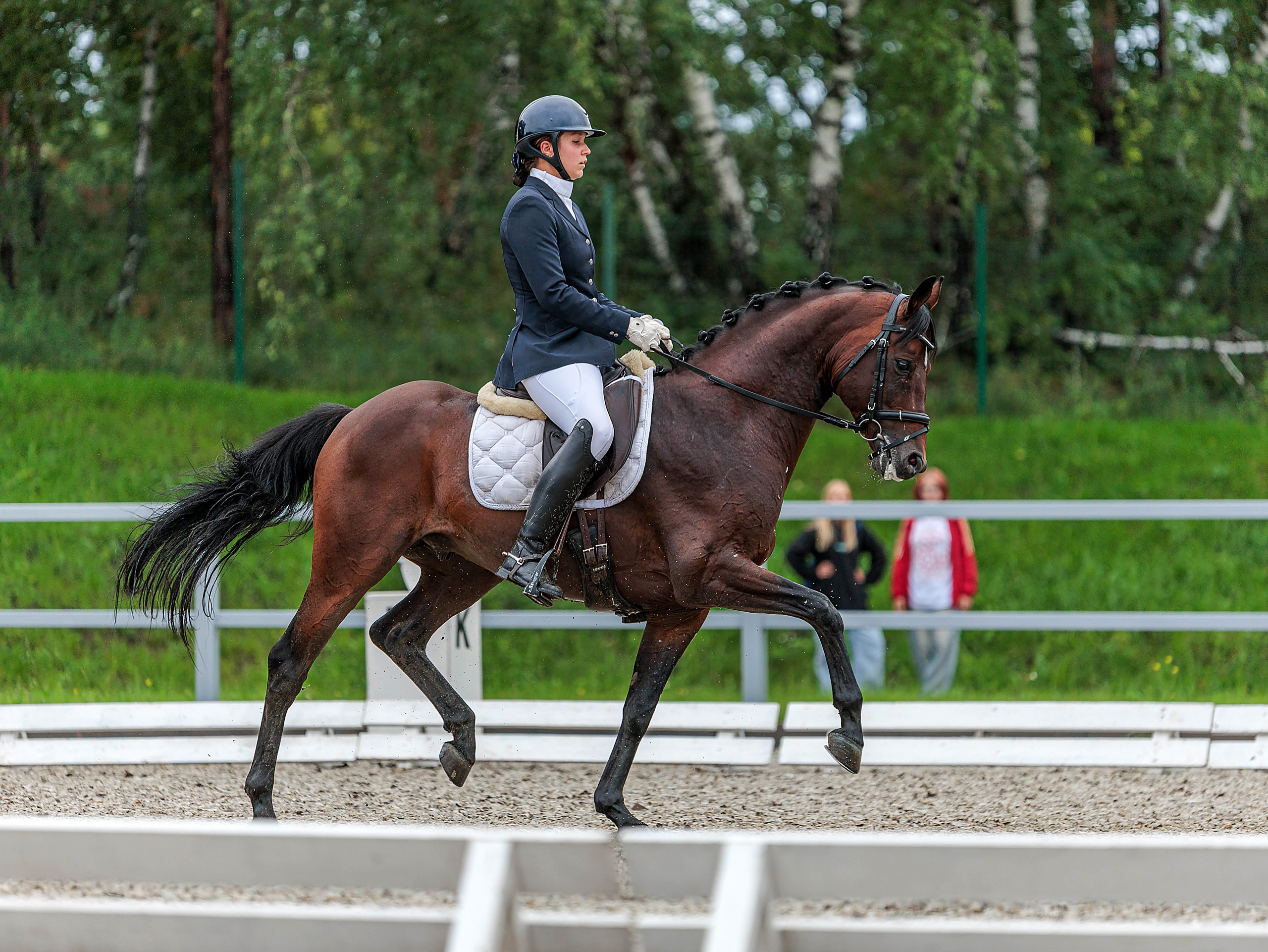 2025. Конный фотограф в Красноярске — Любовь Похабова
