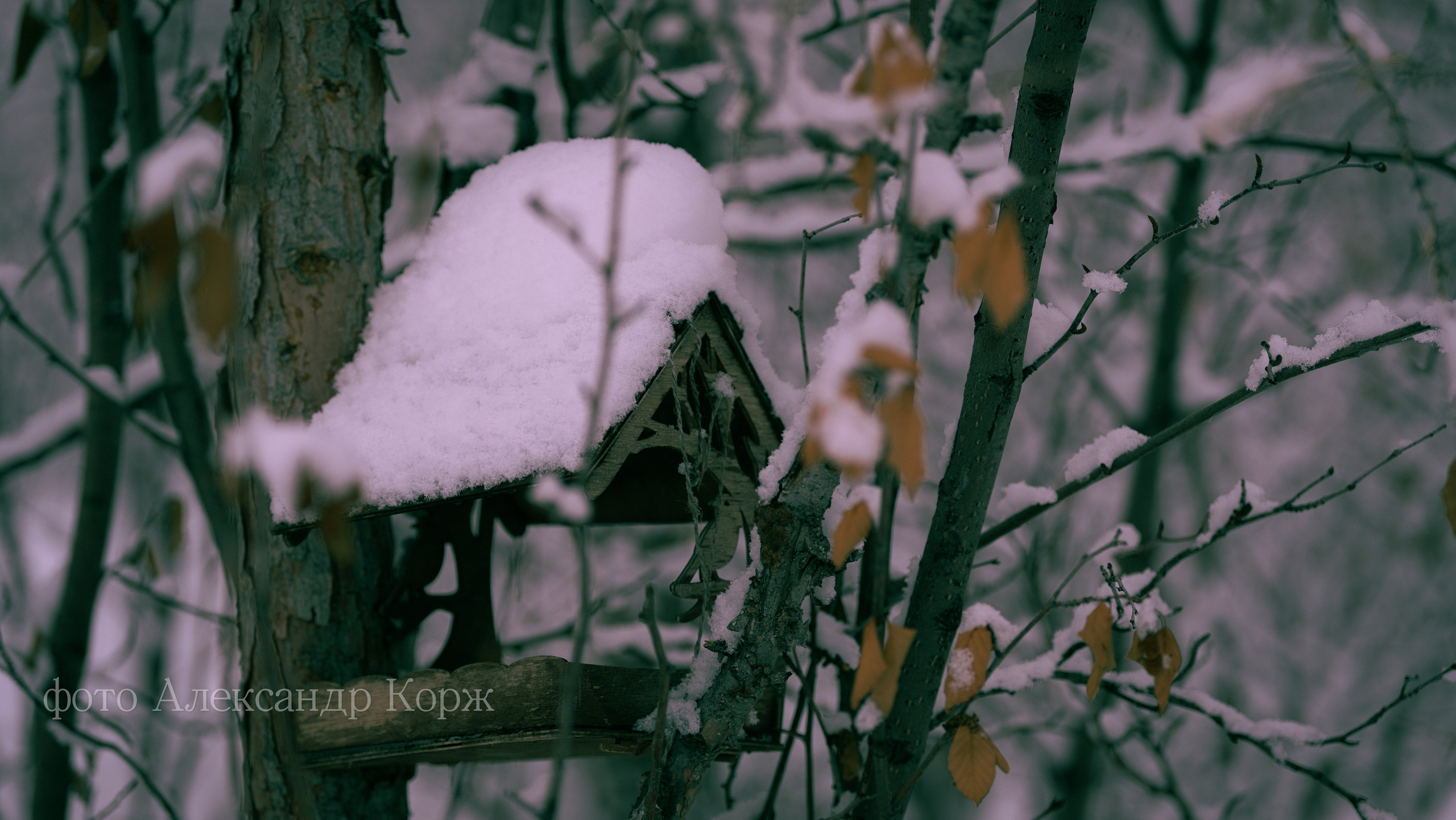 Природа крайнего Севера. Айхал. Фотографии и видеосъемка, Айхал, Удачный, Якутия. Фотографии Айхал