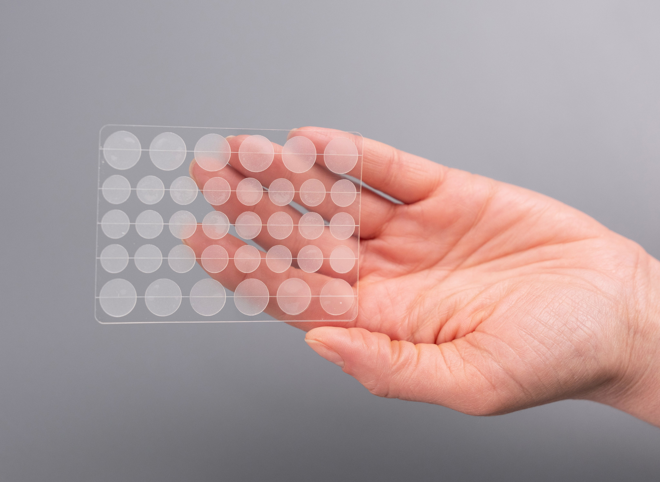 Алиса. Moscow-photo-art.ru