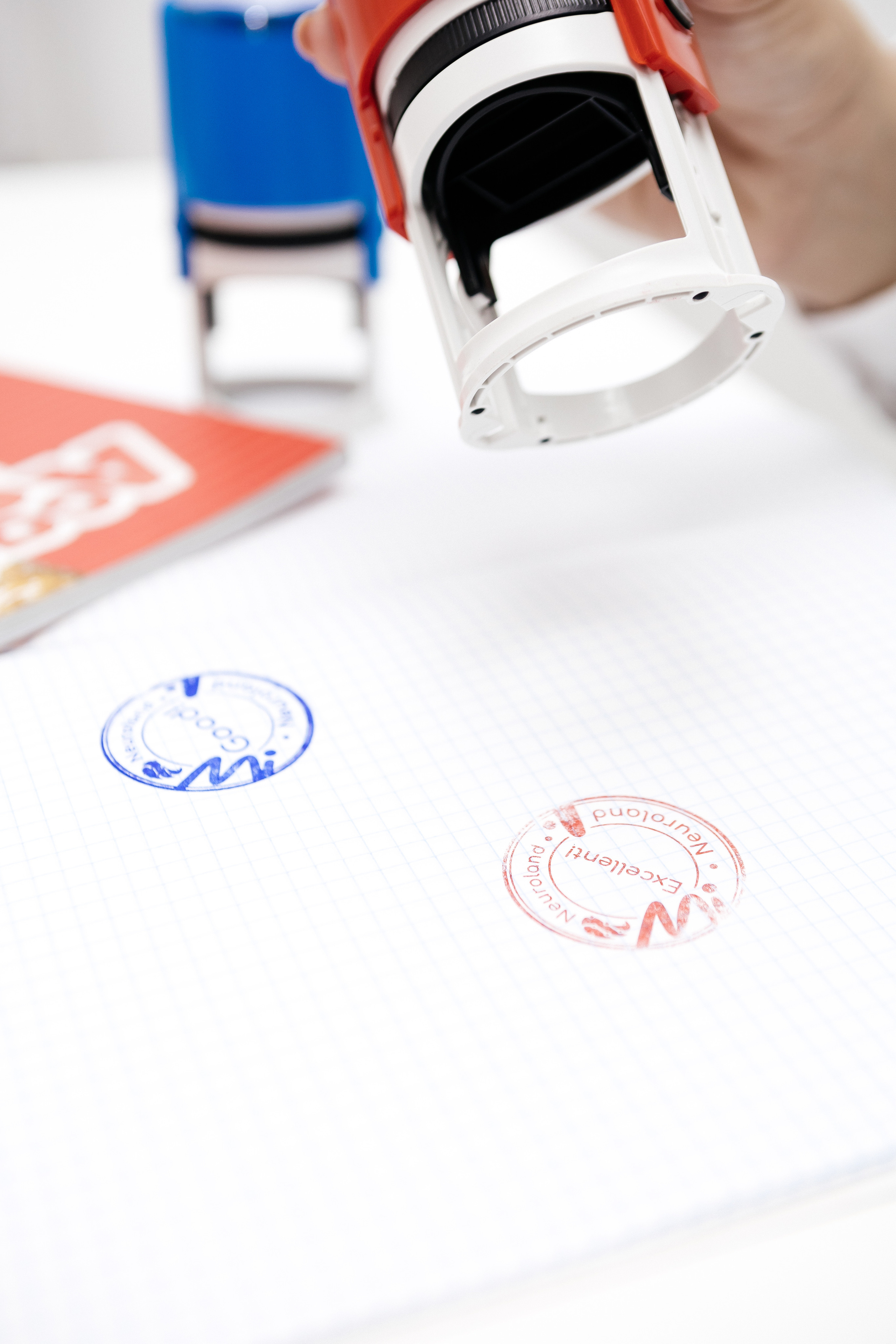 Контент-сьёмка для языкового центра Neuroland. Контент-фотограф в Абакане Наталья Нагибина