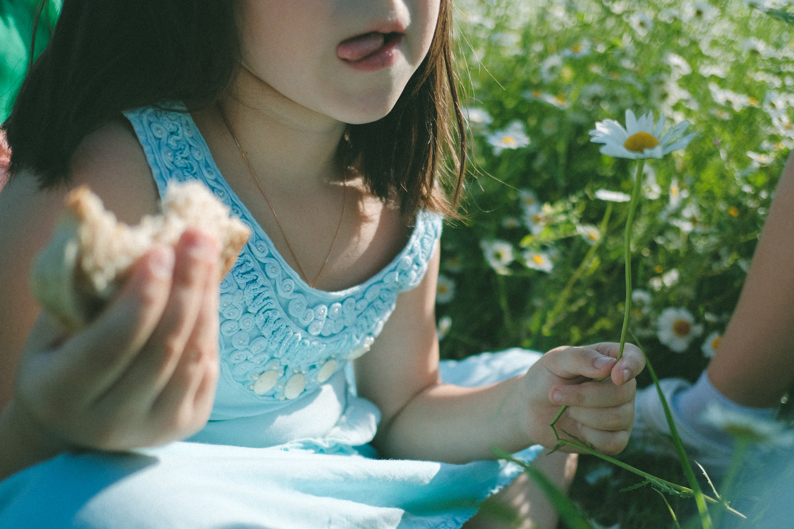 Ждановы в ромашках. Женский и семейный фотограф в Краснодаре и крае Таня Мустафина