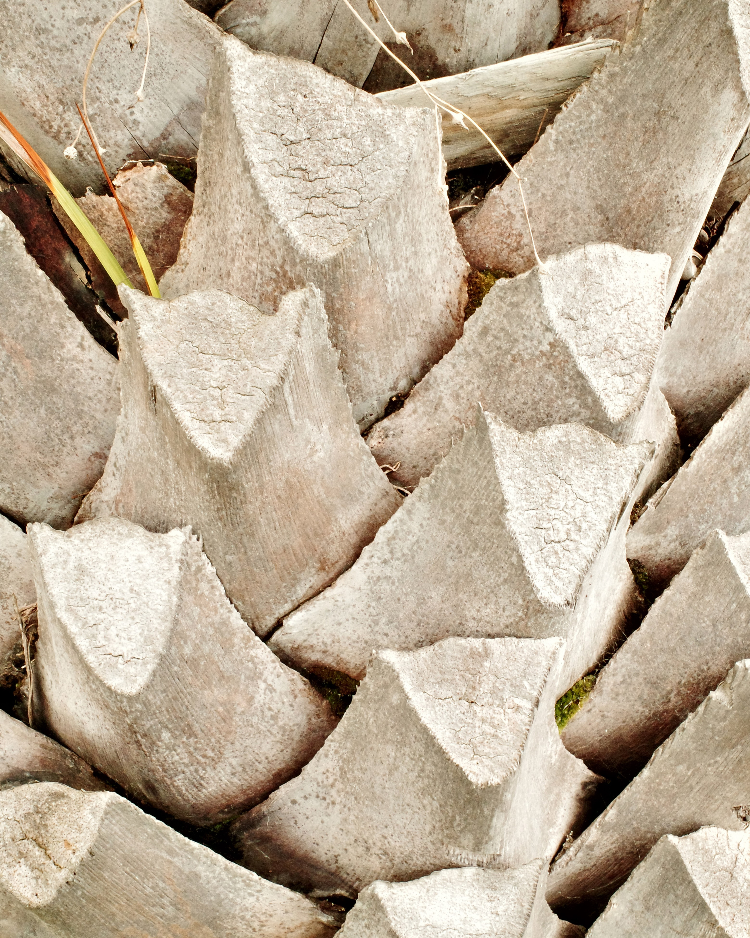 BY THE SEA. Anne Demia