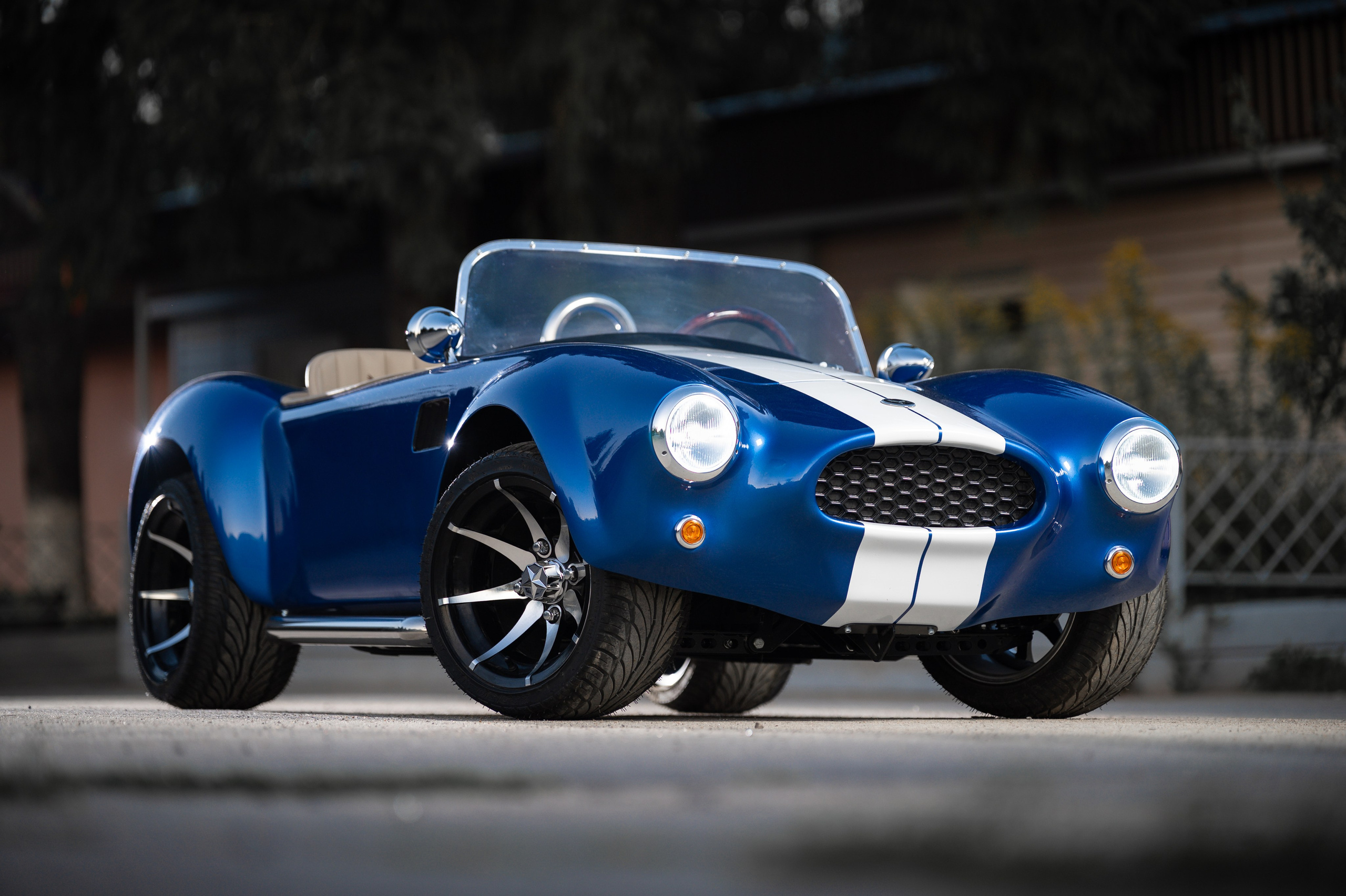 Cobra Mini. Фотограф и видеооператор в Туле | Даниил Рыбак