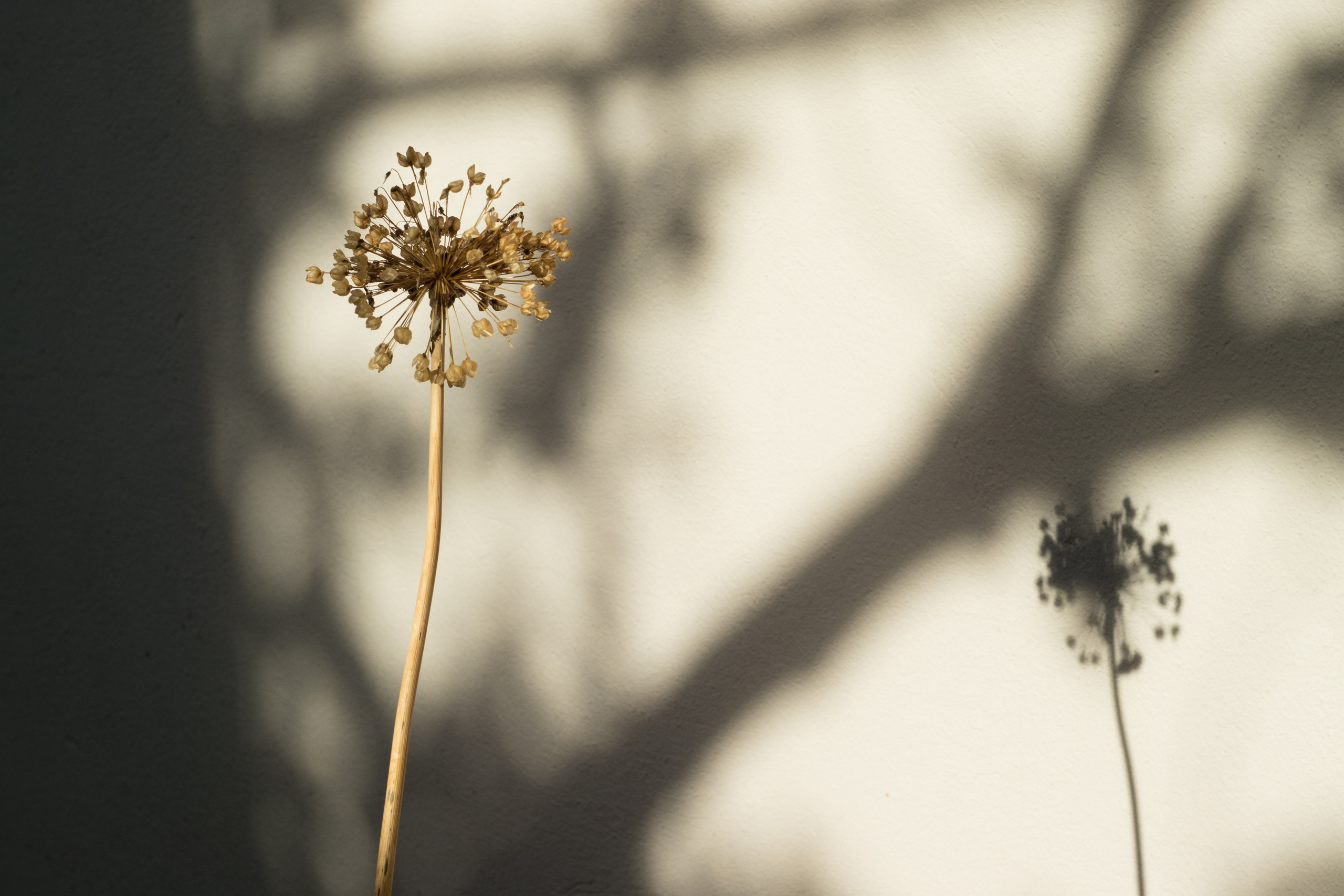 Моменты. Главная