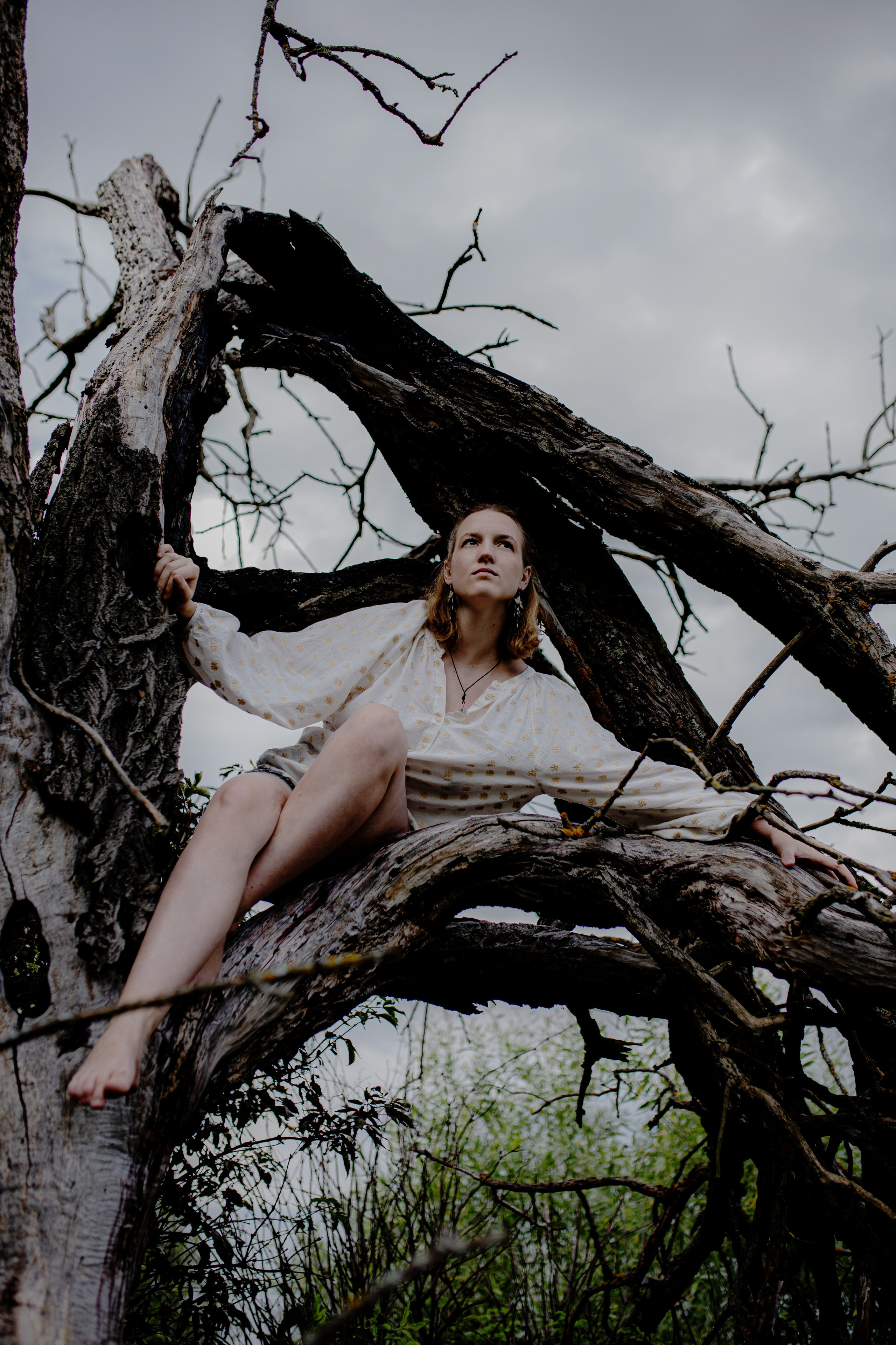 Дерево после грозы. Портретный фотограф Александра Птица. Снимаю истории о вас