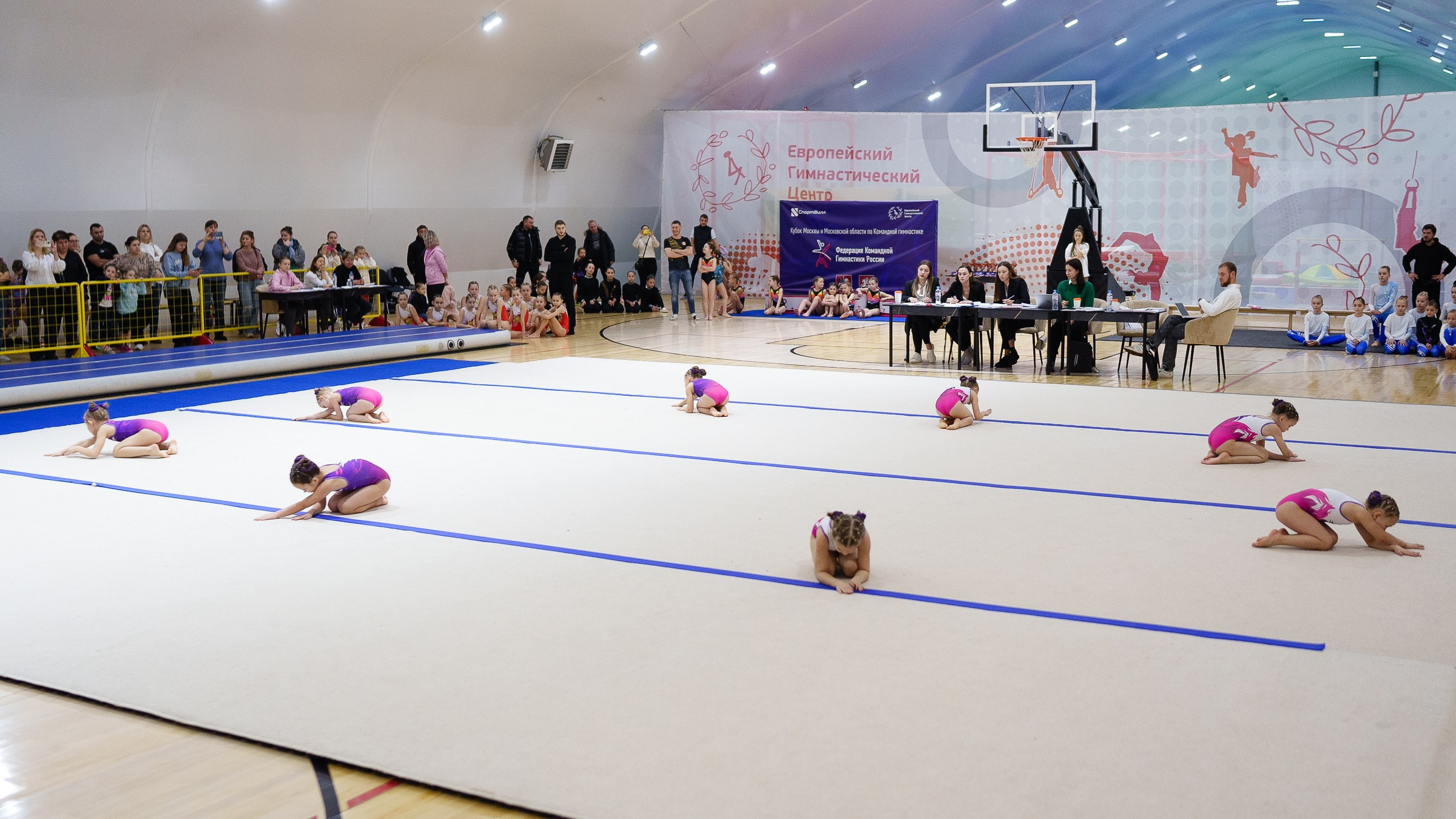 Гимнастика. Фотограф Москва