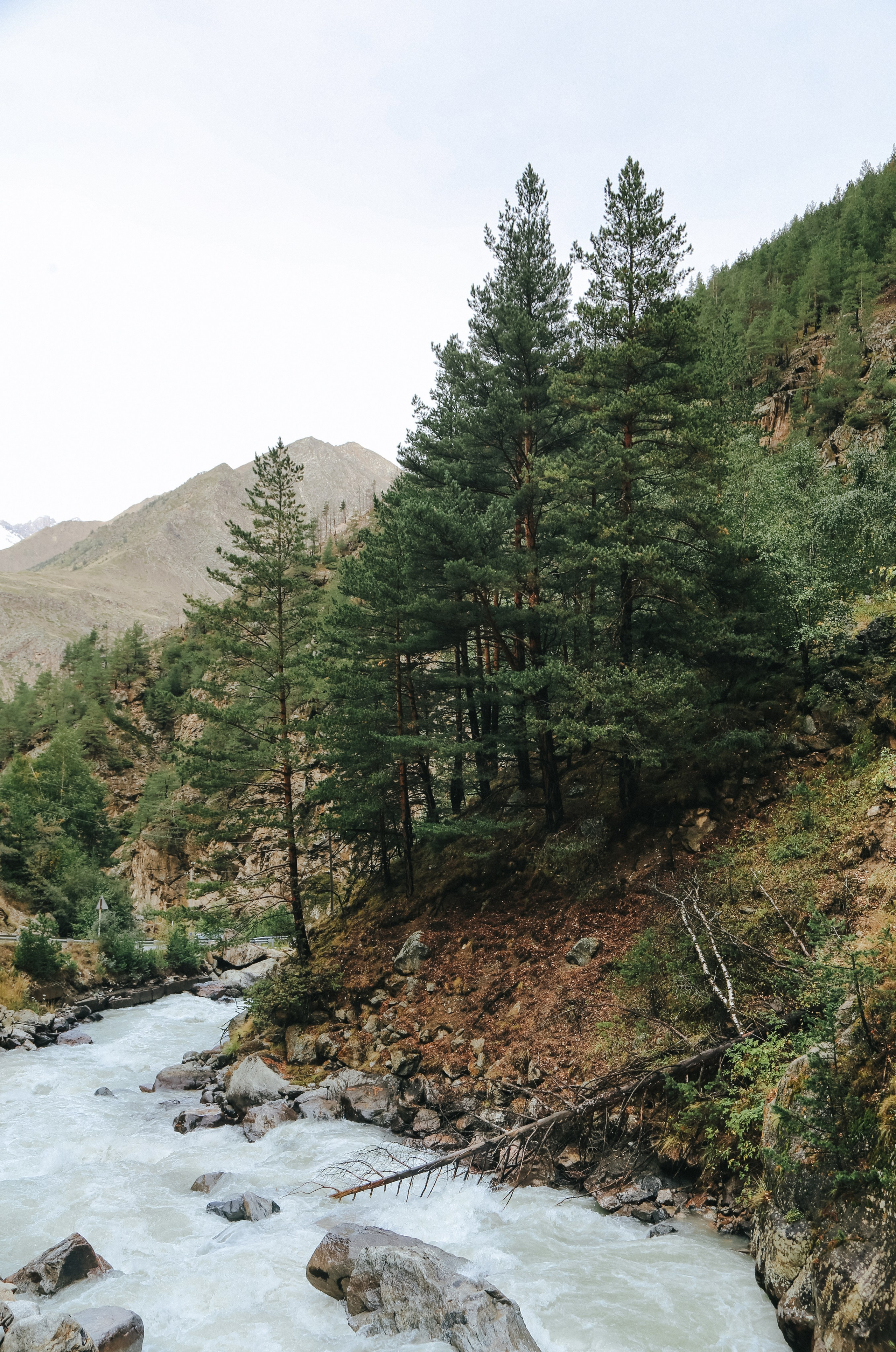 Кавказ: Кабарда vs. Балкария. Дарья Письменюк / Darya Leitstern — фотограф, музыкант, журналист, путешественник