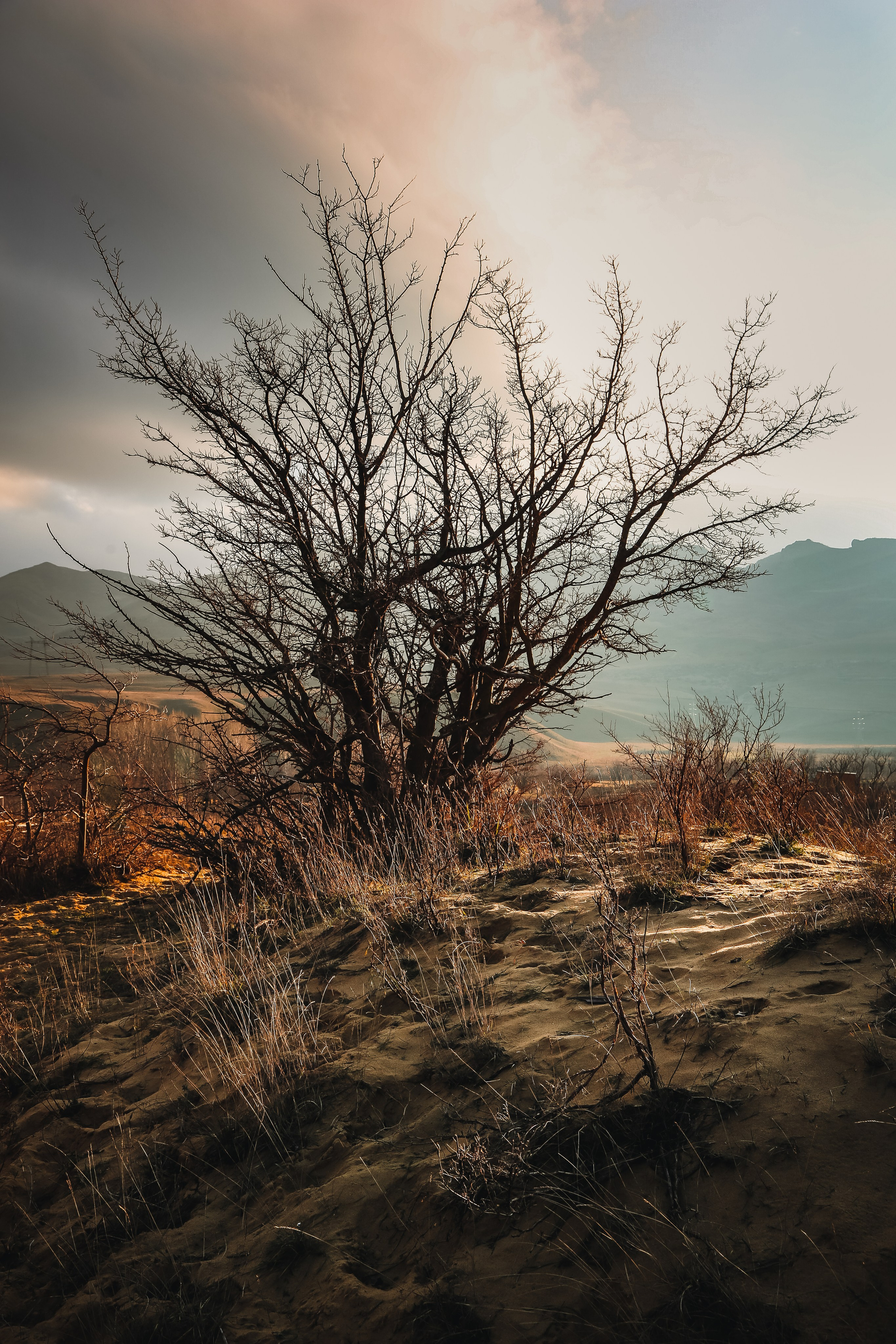 Кавказ: многоликий Дагестан. Дарья Письменюк / Darya Leitstern — фотограф, музыкант, журналист, путешественник