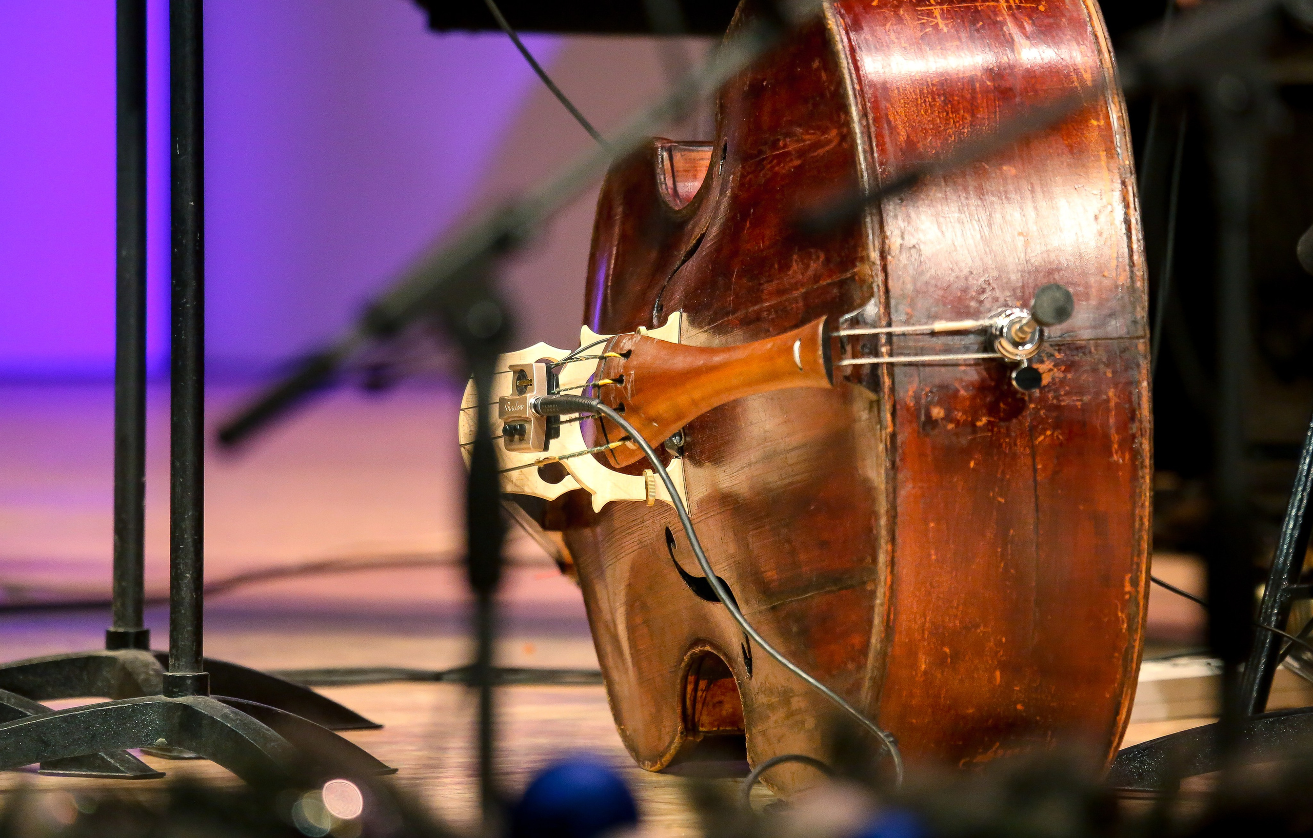 Концерт в Старый Новый год. Дарья Письменюк / Darya Leitstern — фотограф, музыкант, журналист, путешественник