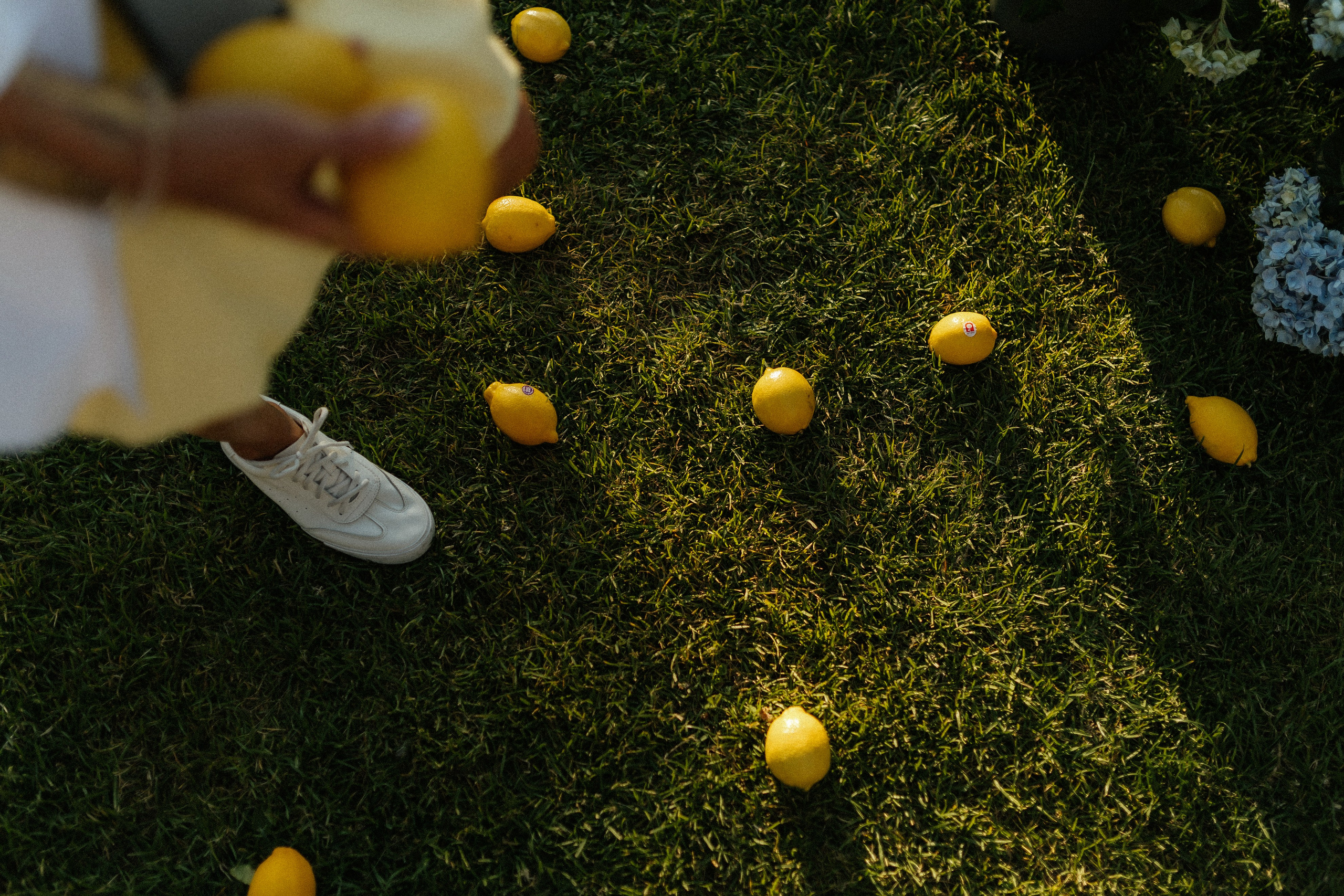 Аня Оушен Birthday party!. Свадебный фотограф в Москве Николай Болт