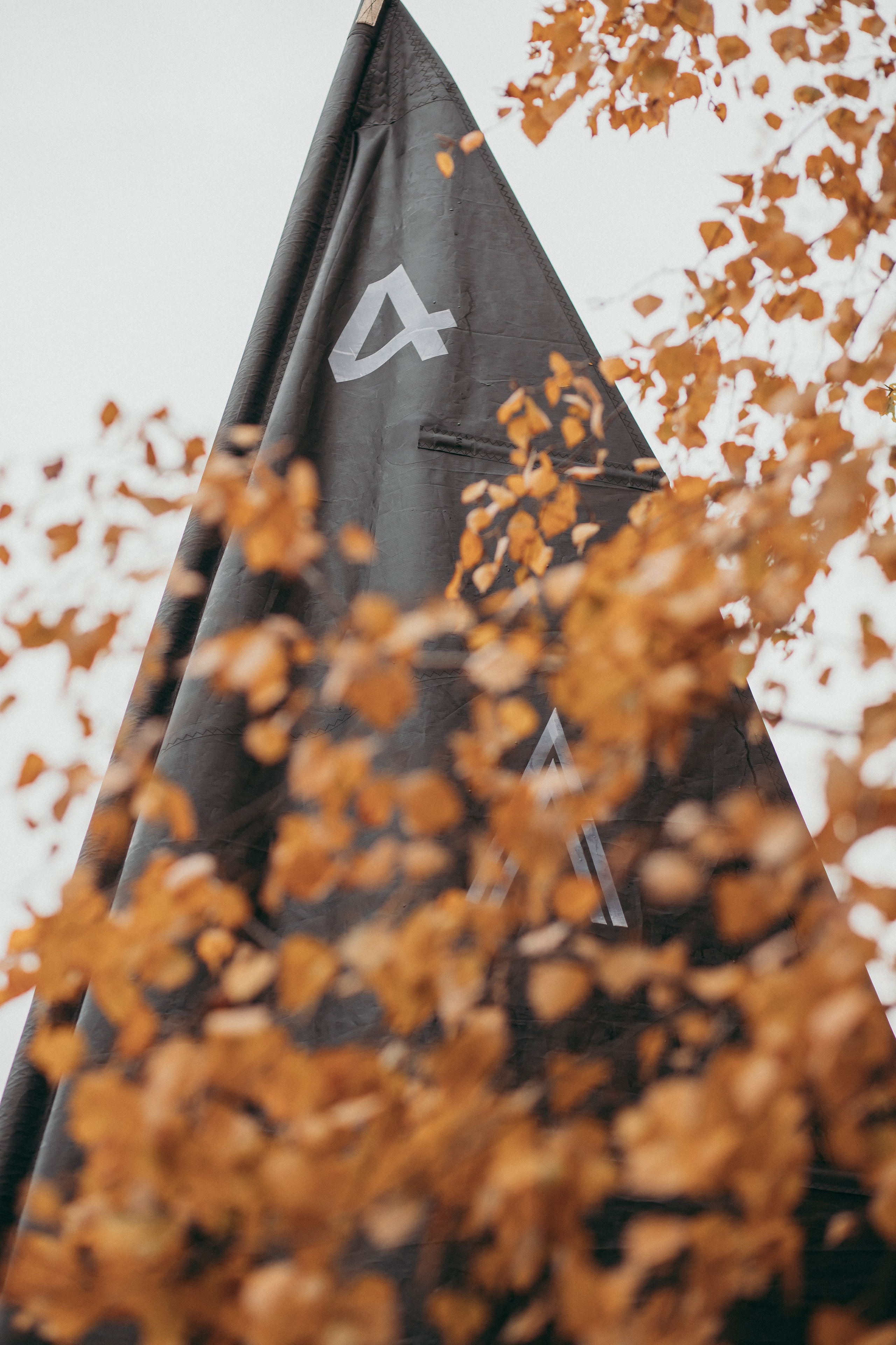 Сила Ветра Строгино. Фотограф Москва и Санкт-Петербург