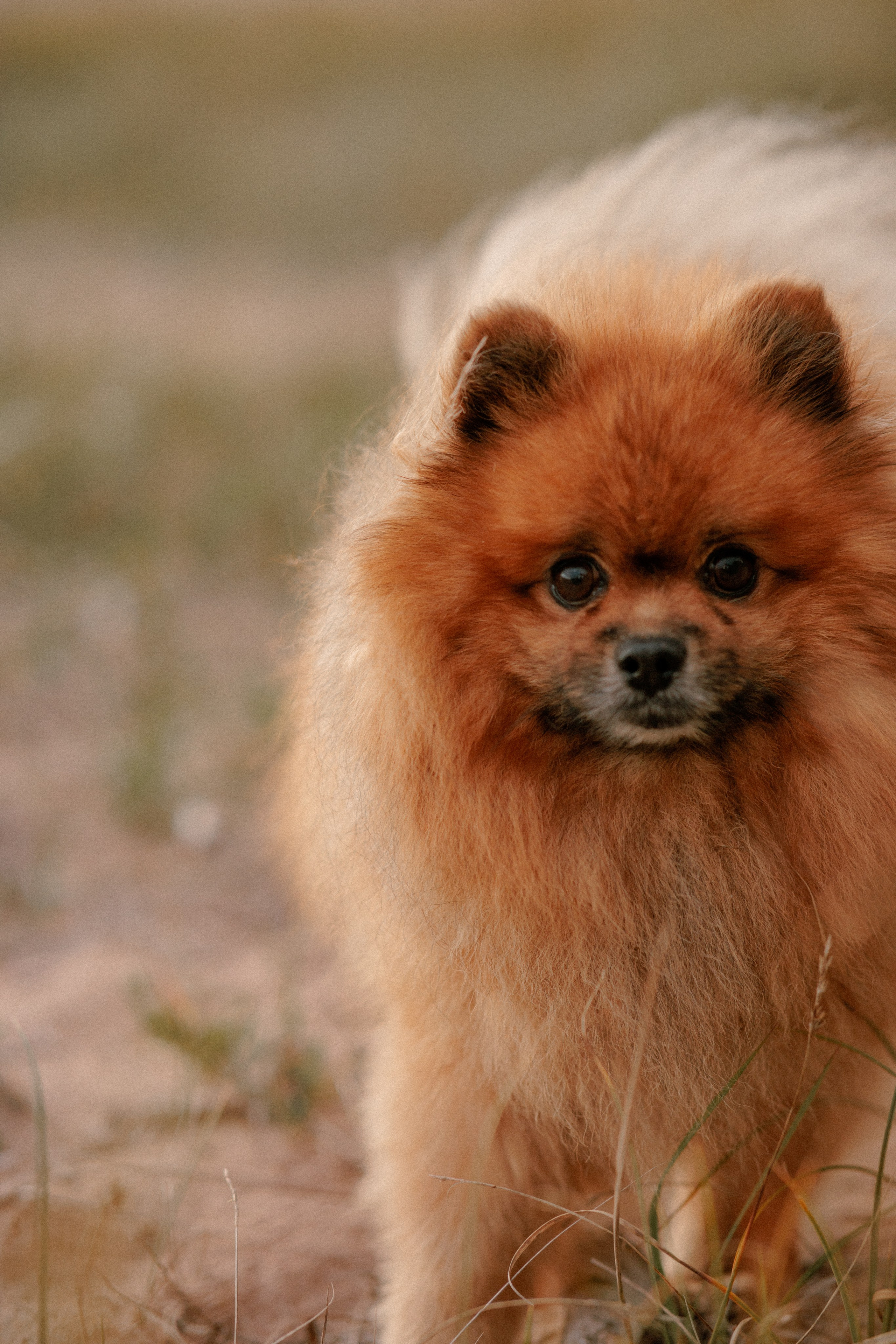 Маргарита и Космос. Фотограф в Санкт-Петербурге Алёна Губинская