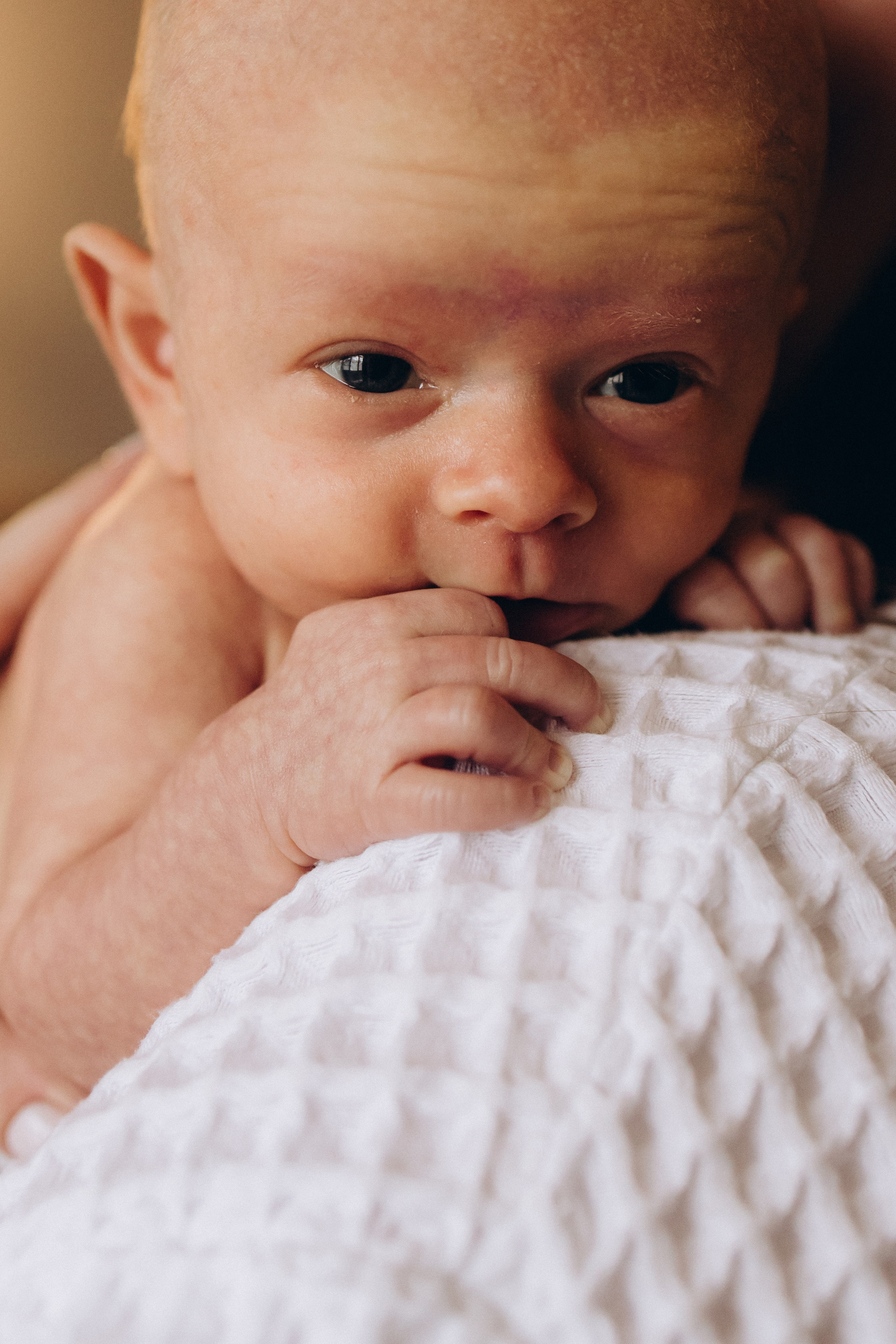 Фотосессия новорожденного дома. Семейный фотограф в Москве, Щелково, Фрязино _ Виктория Степанова