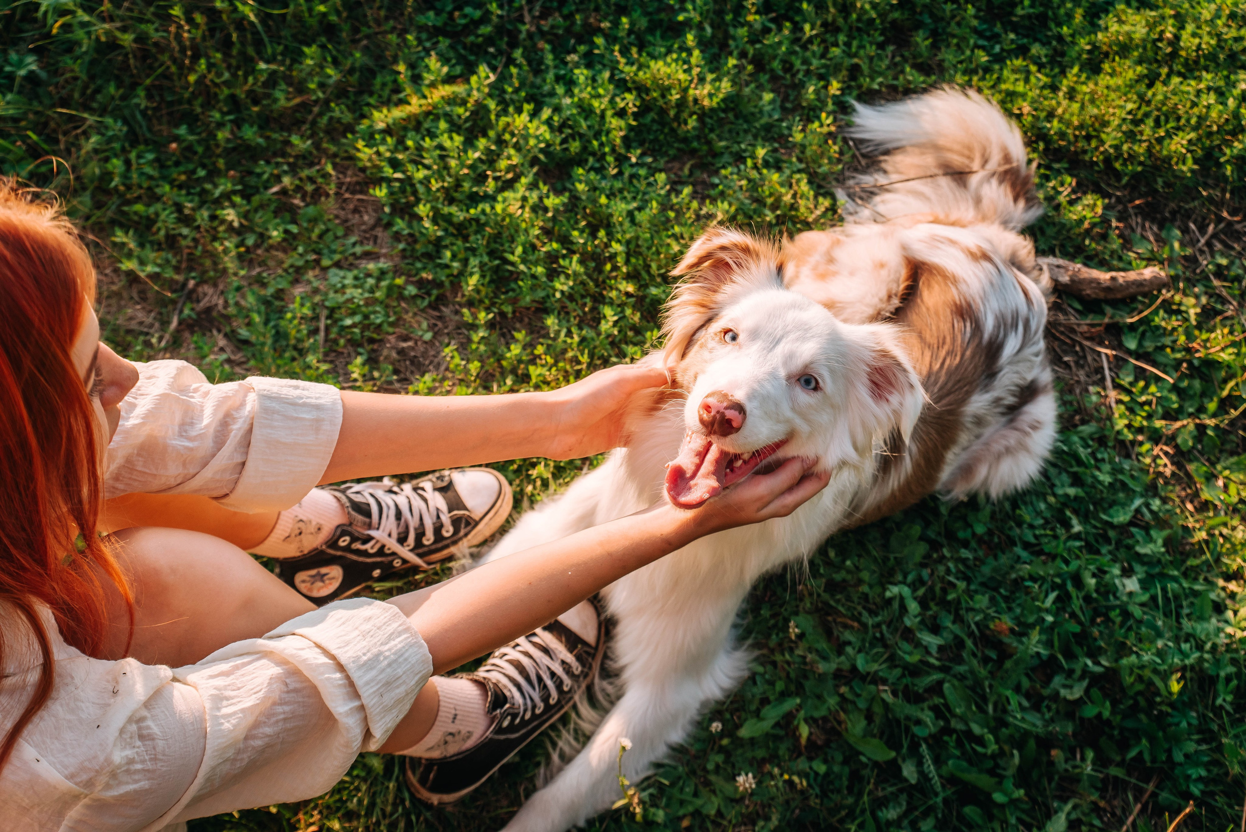 Лиза и Айви. Главная