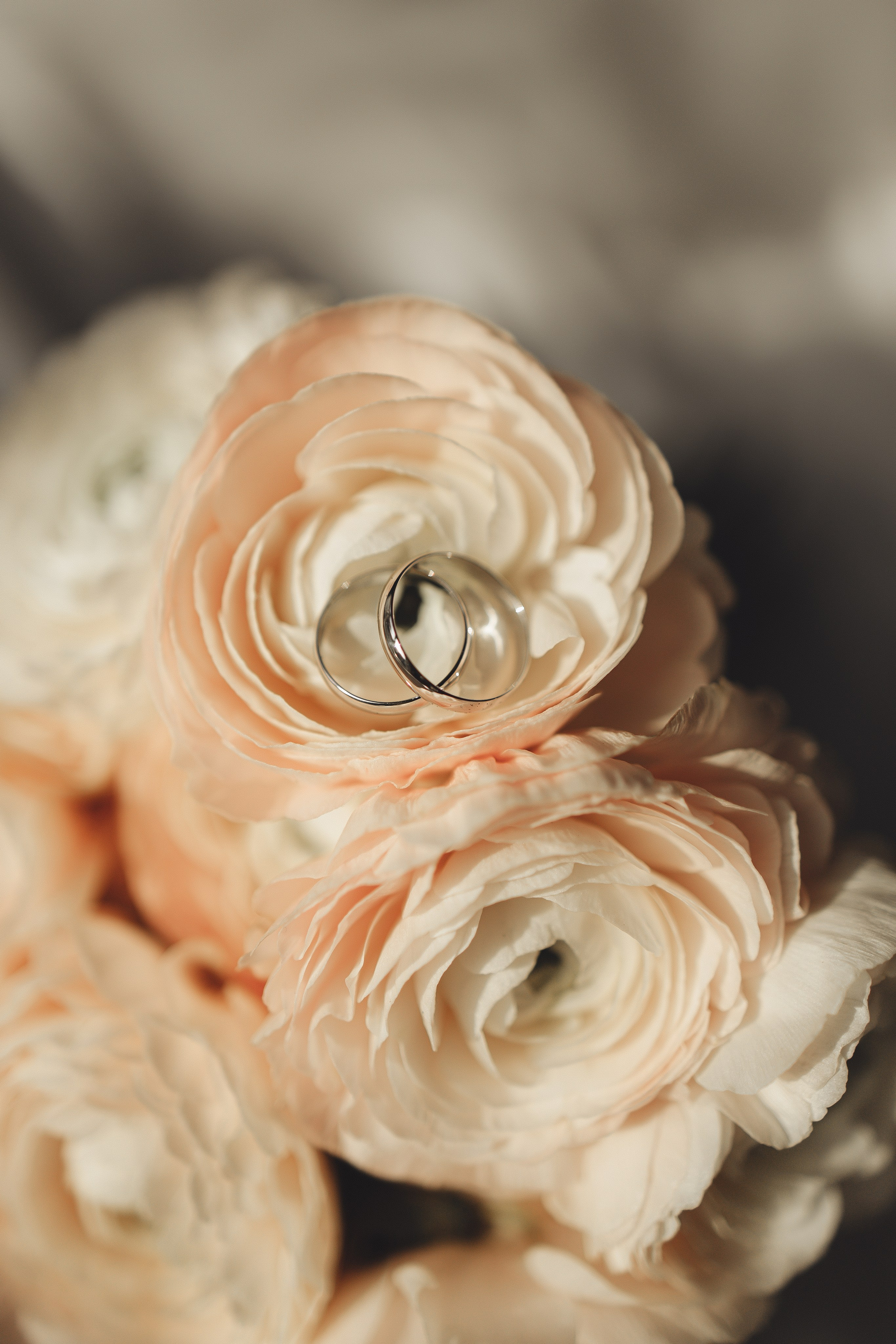 Свадебная история для двоих. Семейный и детский фотограф, таганрог, ростов-на-дону