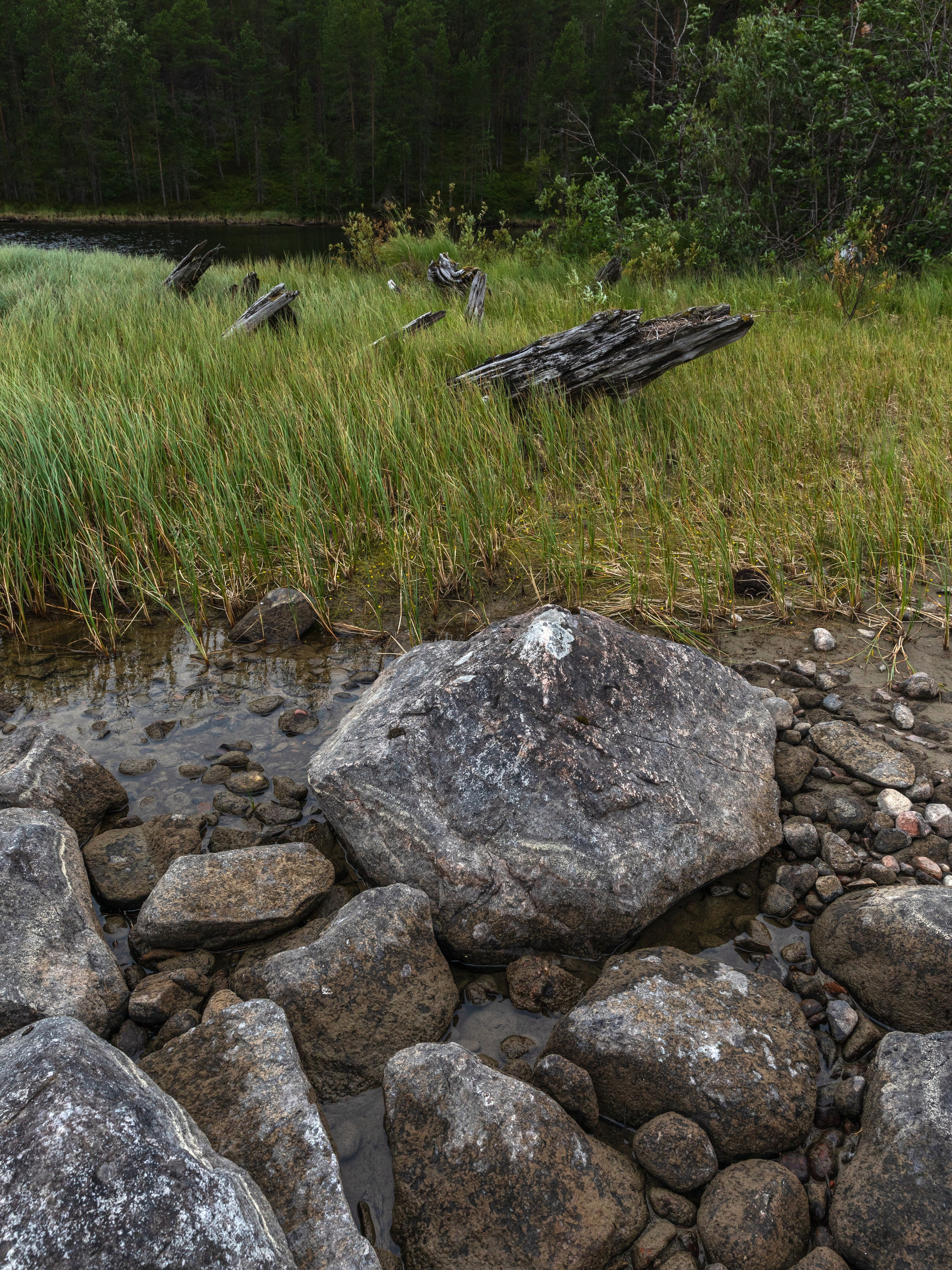 Оз. Колвицкое. Фотографии