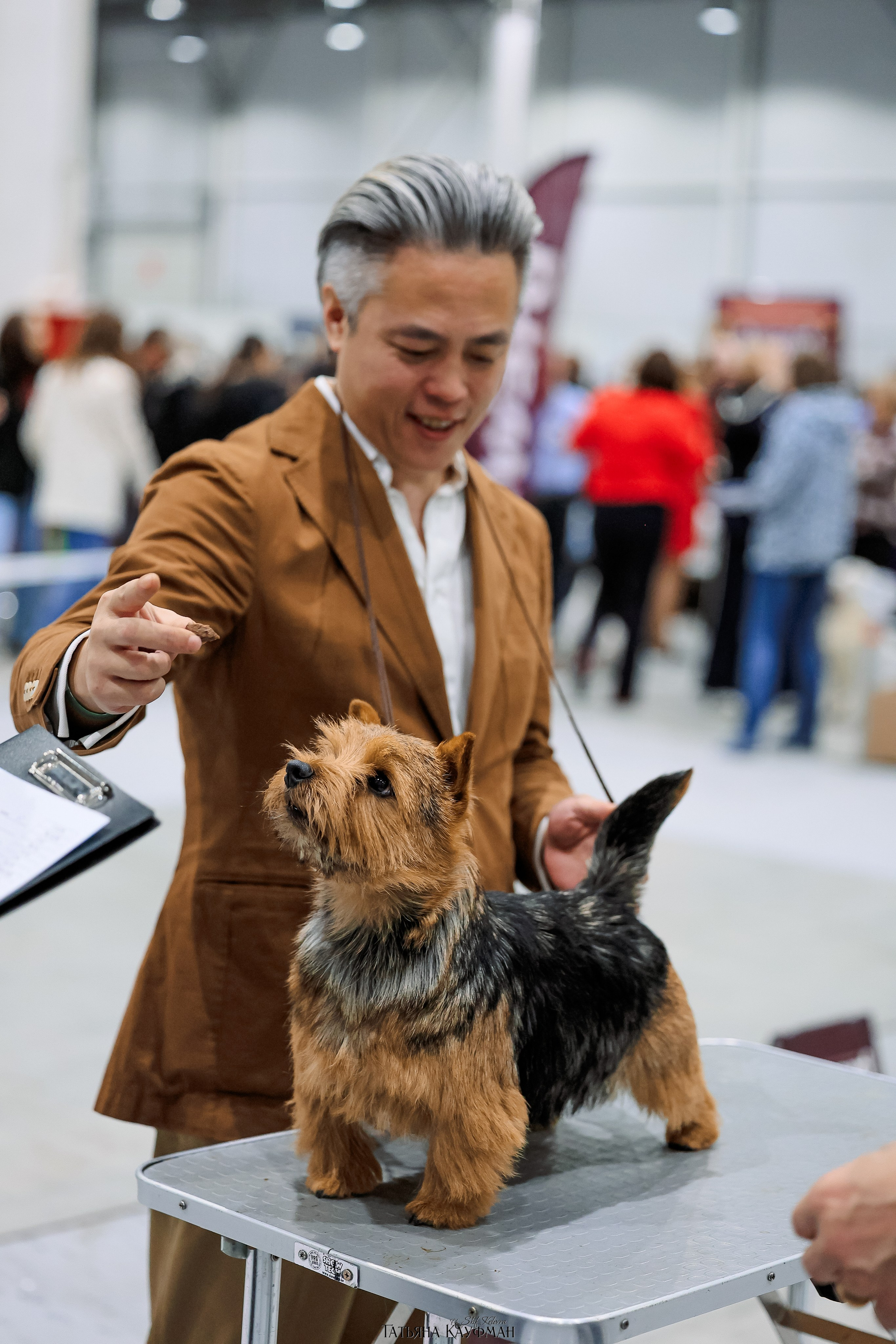 28-29.03.2026 Рейтинговая выставка в Новосибирске. Фотограф Анималист из Новосибирска Татьяна Кауфман