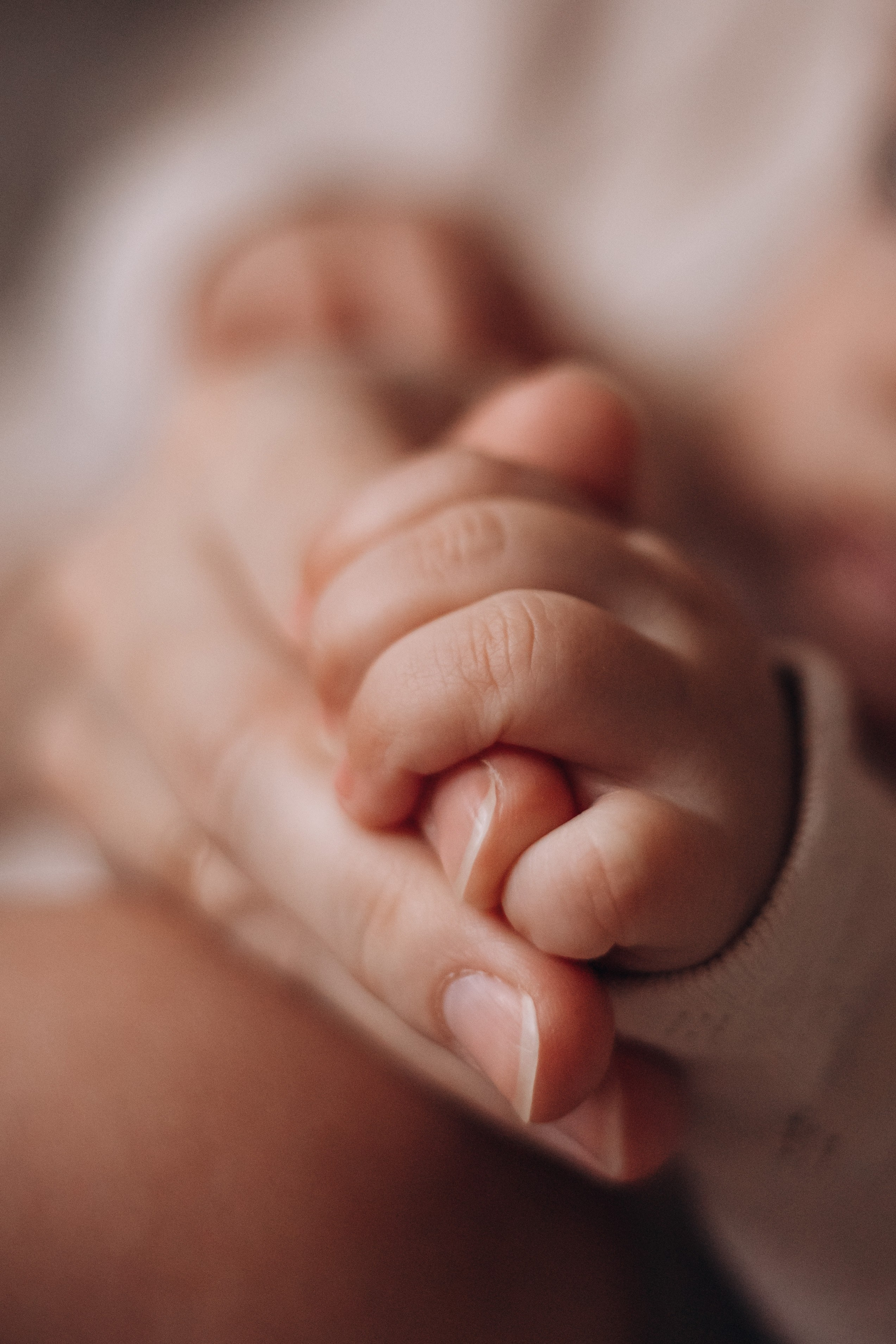 Семья Татьяны и Ильи. Семейный и детский фотограф в г. Новосибирске Макеева Анастасия