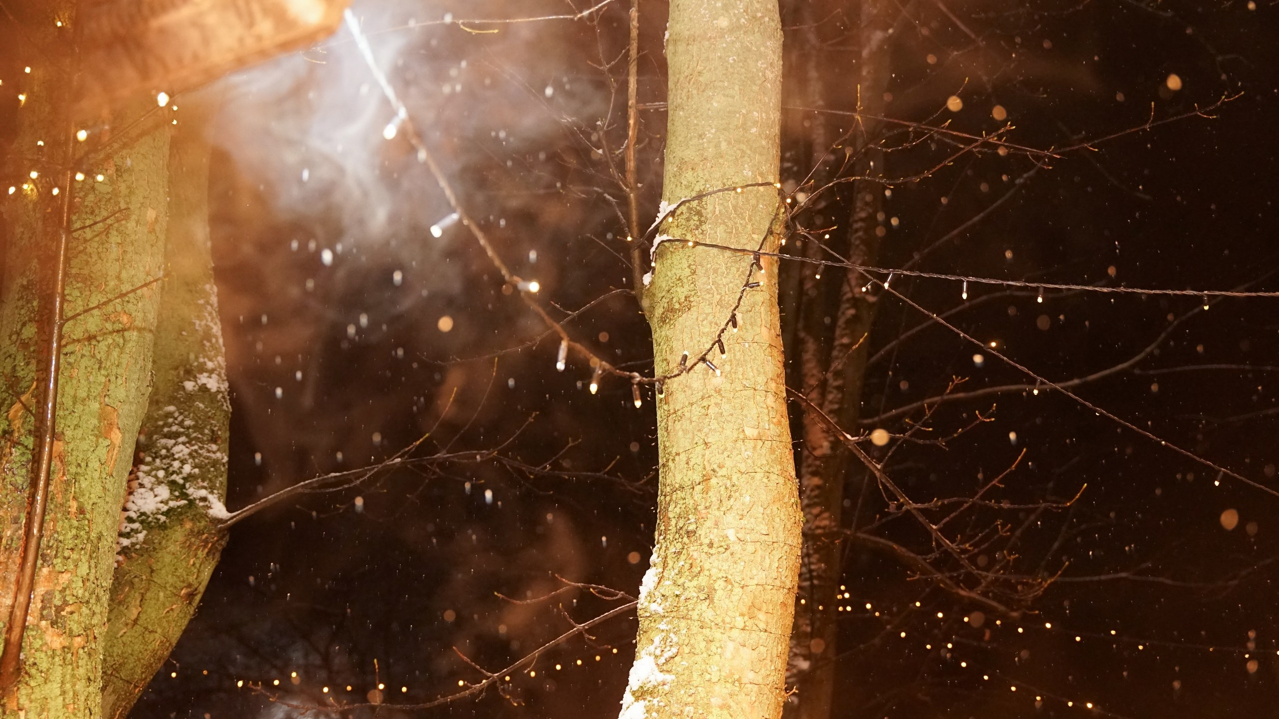 Шашлыки | 23.11.2024. Галерея Фантим