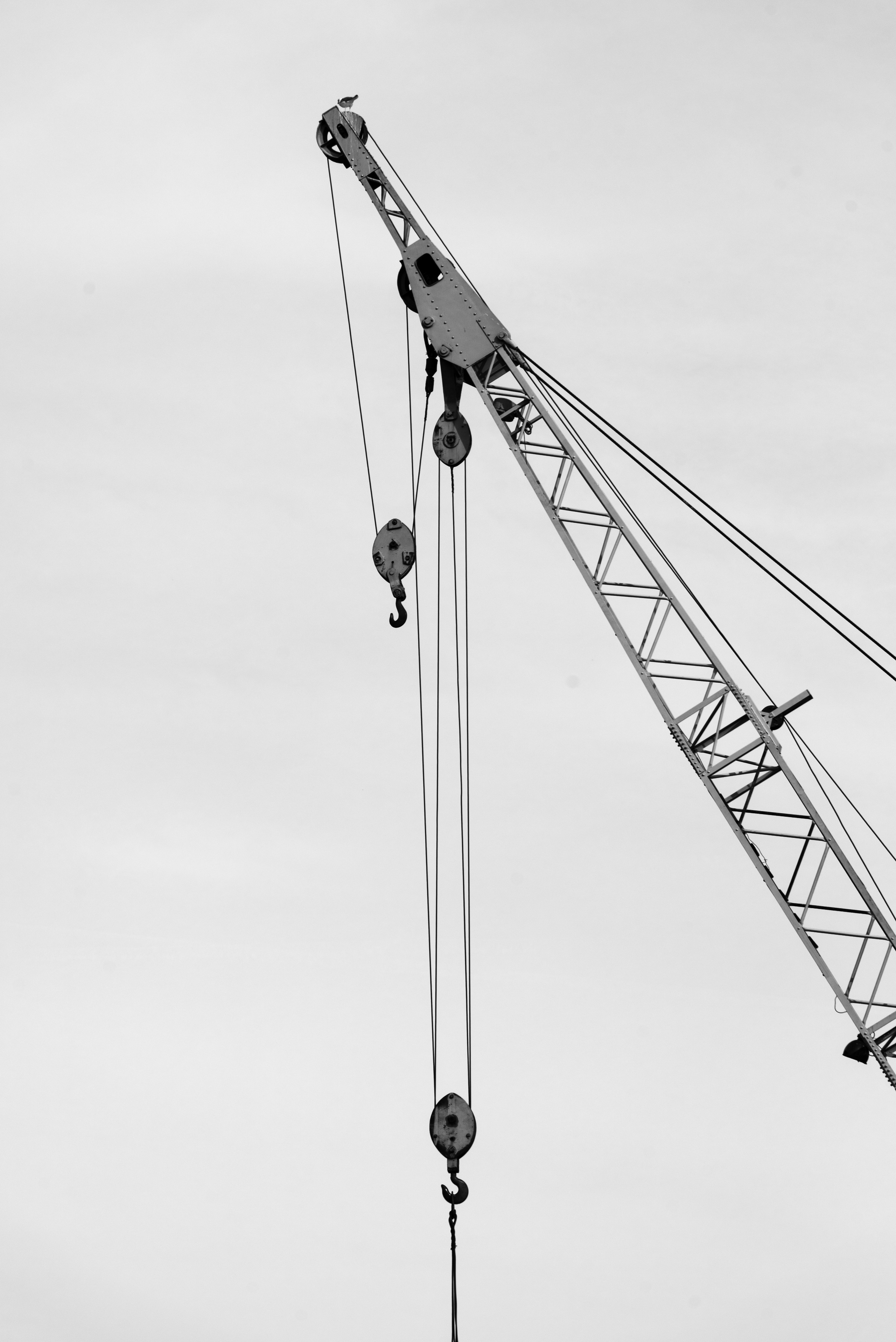 Репортажная фотосъёмка в Волгограде. Свадебный, портретный фотограф в Волгограде Ермашова Дарья