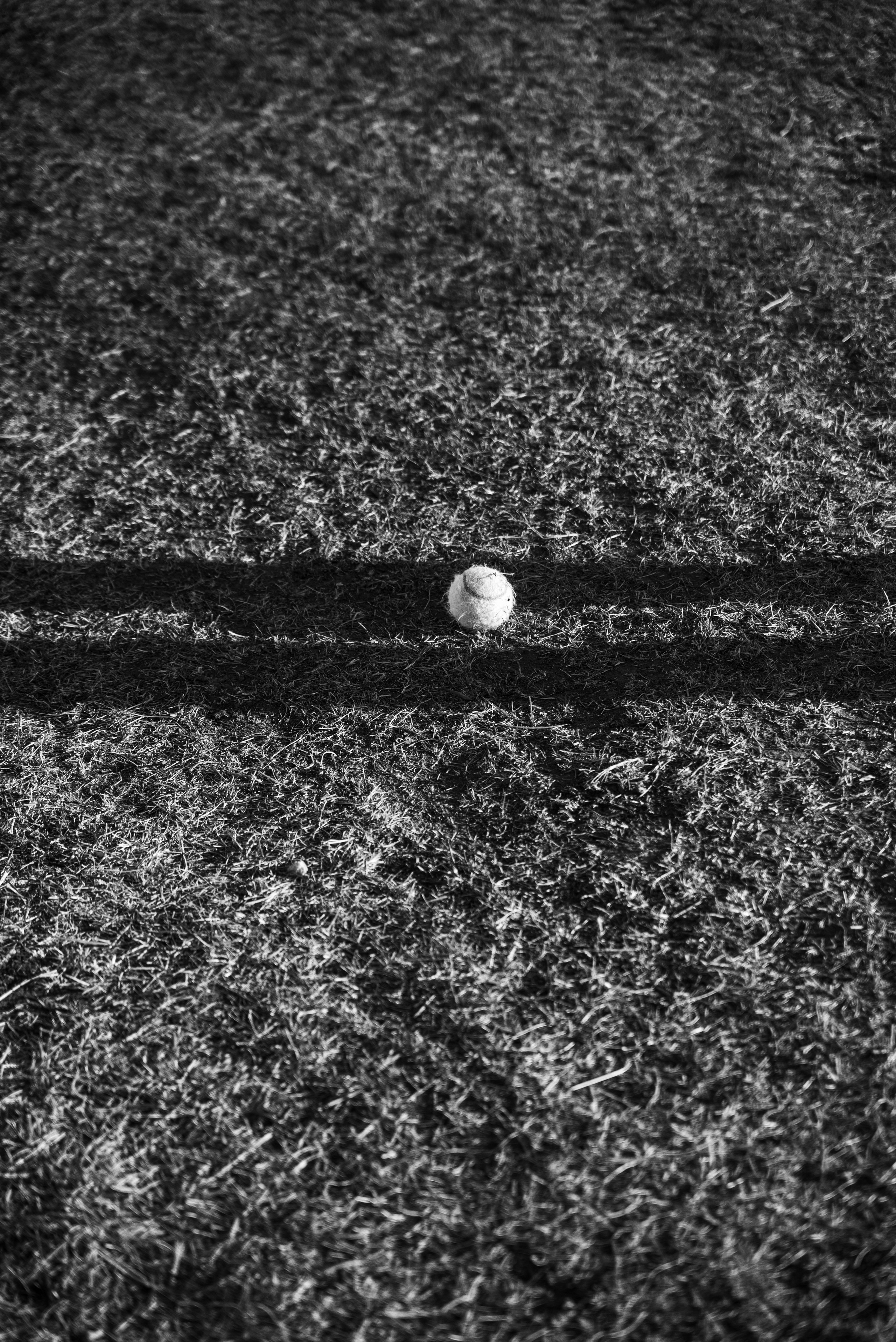 #2. Фото с характером