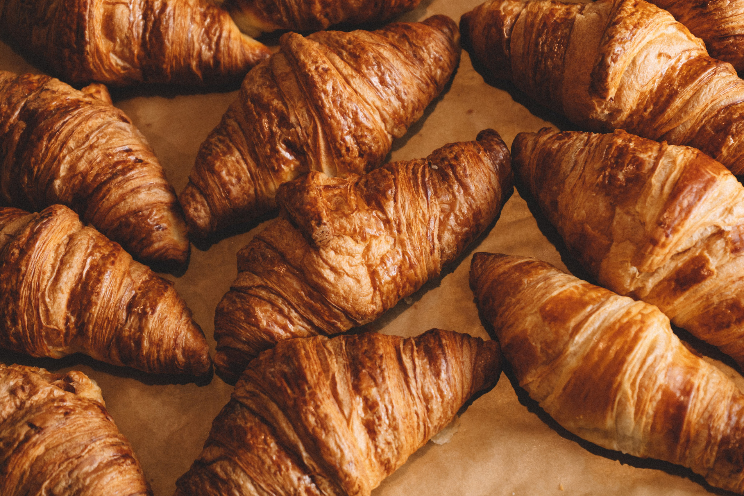 Yankee sierra. Анастасия Попова — Fashion photographer