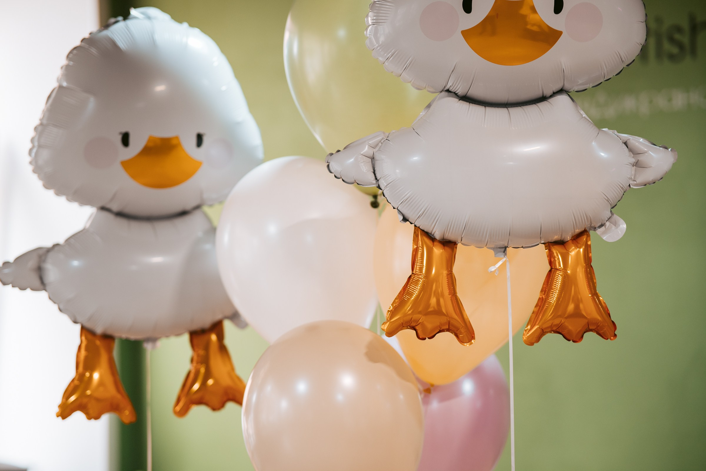 Артишок. Фотограф на любое событие в Кемерово