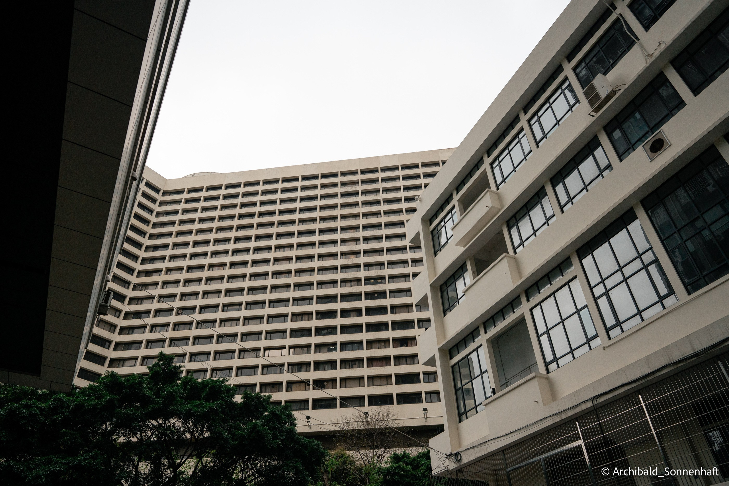 Cat, squirrel, japanese food and stand-up. Photographer in Guangzhou, China. Archibald Sonnenhaft